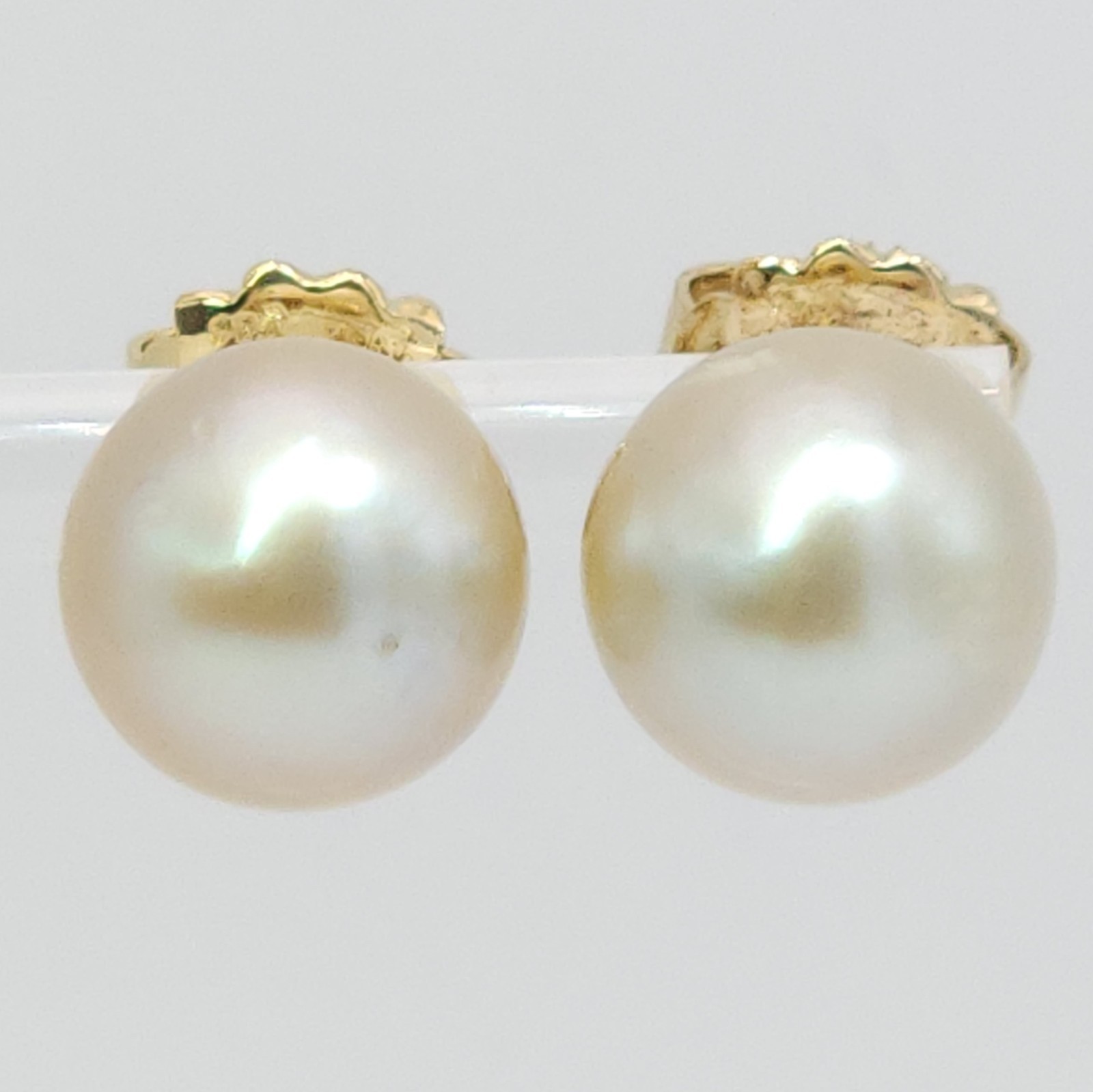 18K Yellow Gold South Sea Cultured Cream Champagne Pearl 12mm Stud Earrings 7g