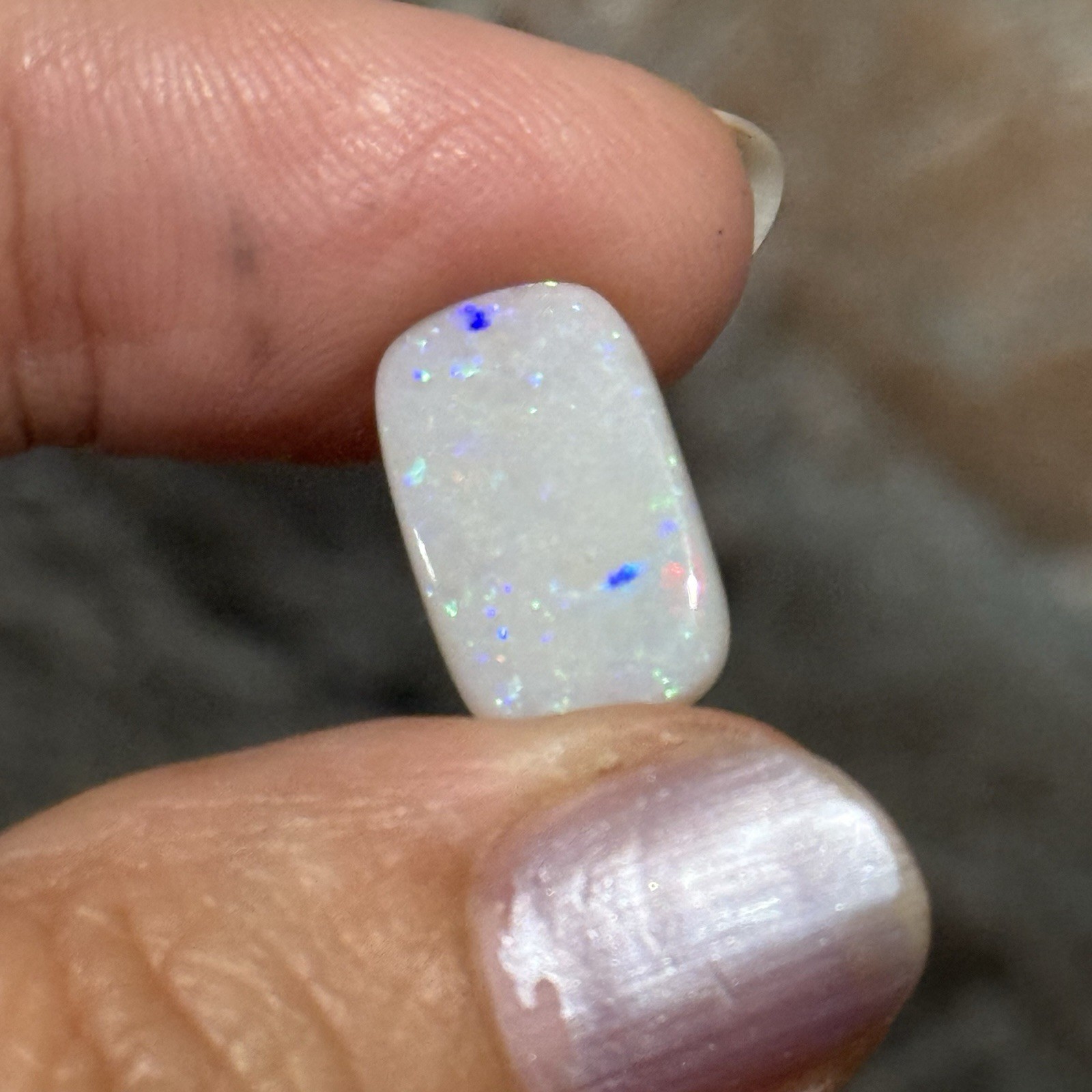 4.1ct 15.1×9.3×3.3mm Solid White Coober Pedy Stardust Australian Opal Cabochon