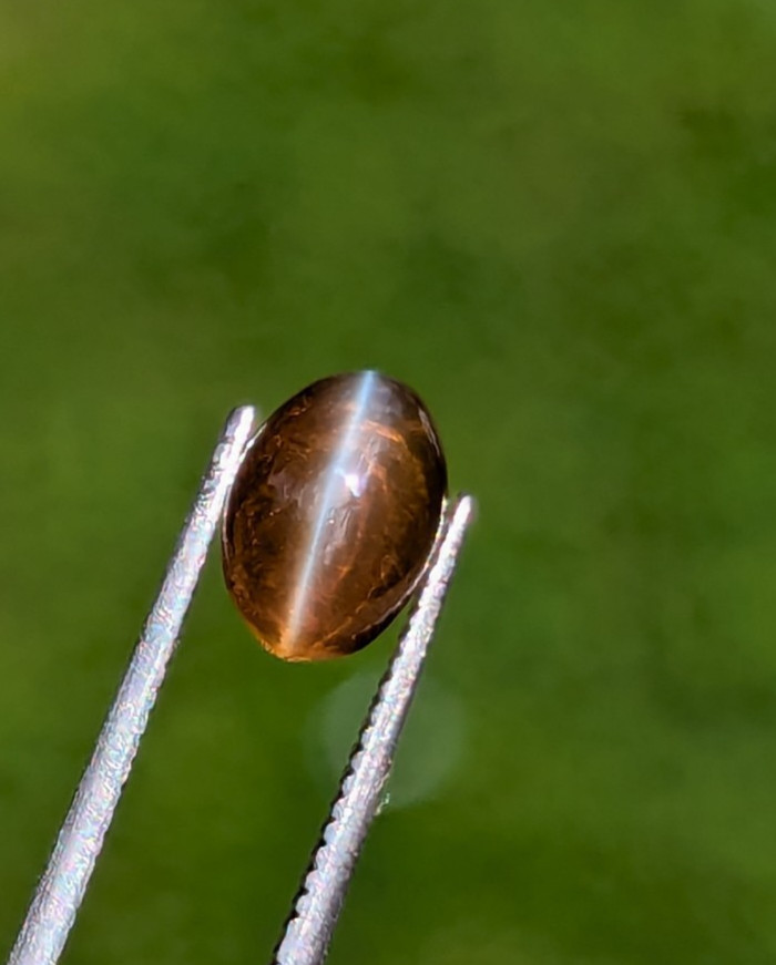 Natural Chrysoberyl Cat’s Eye 1.35ct Honey | Sharp Eye | Glass Body Ceylon
