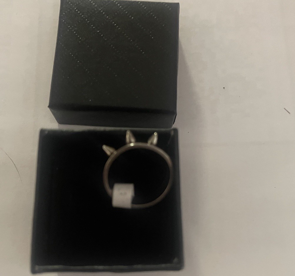 Stainless Steel Spike Ring