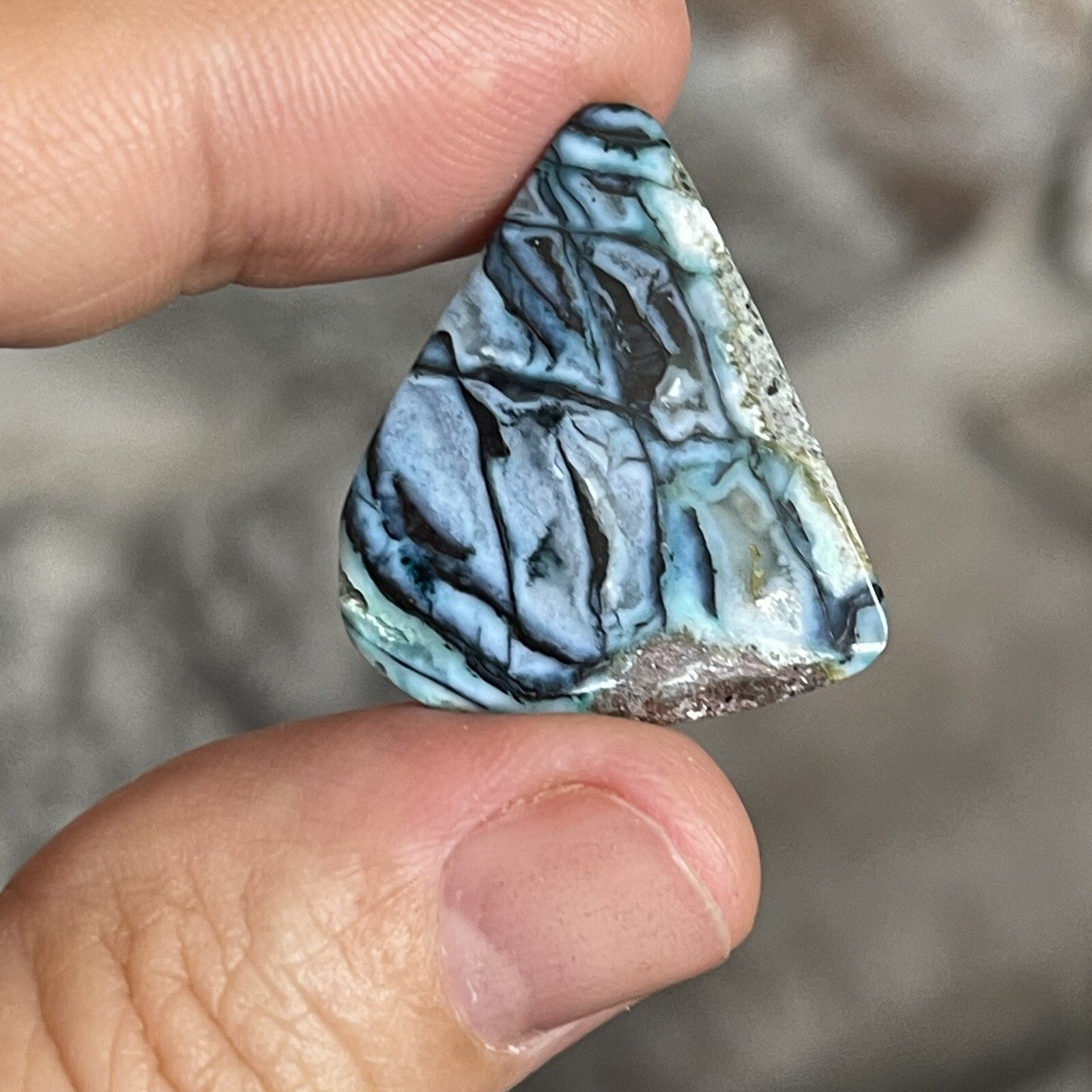 26.5×21.6x5mm Rare Agatized Wood Colorful Chrysocolla Cabochon Picture Stone