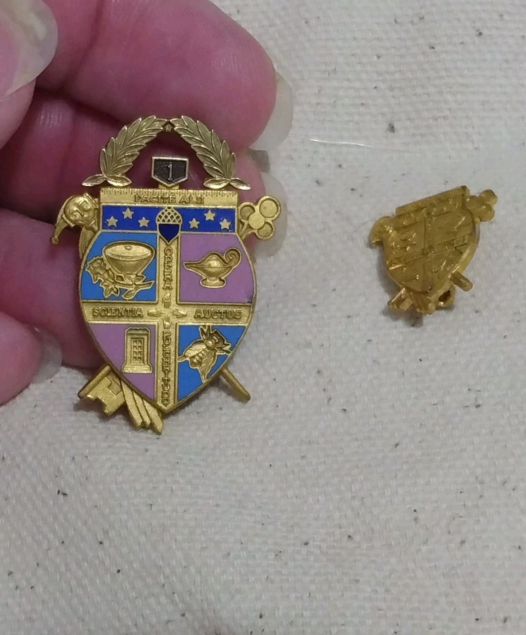 Vintage Coat of Arms Pin Lot Gold Tone Facital Scientia Auctus Opera Pulchritudo