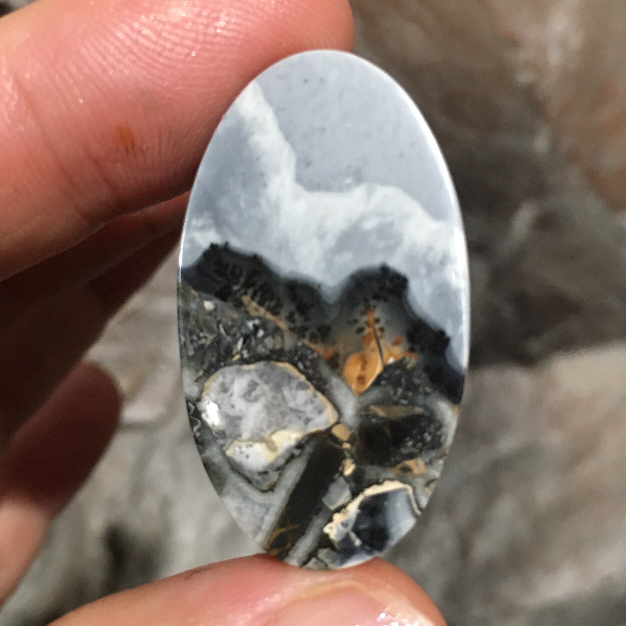 35.7×20.6×4.8mm Fine Maligano Jasper Oval Cabochon Collectors Picture Stone