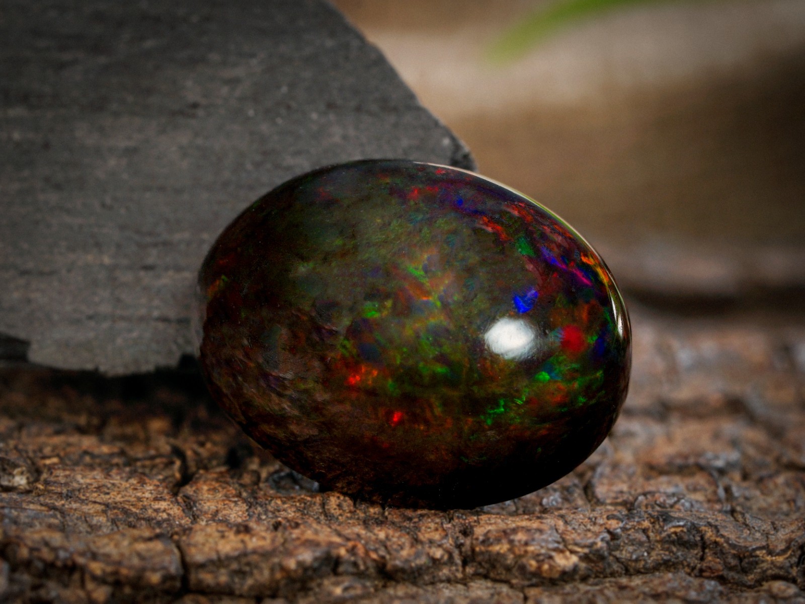 6.90 Carat Ethiopian Black Opal Cabochon 15x11x7 MM Oval Shape Welo Fire Opal