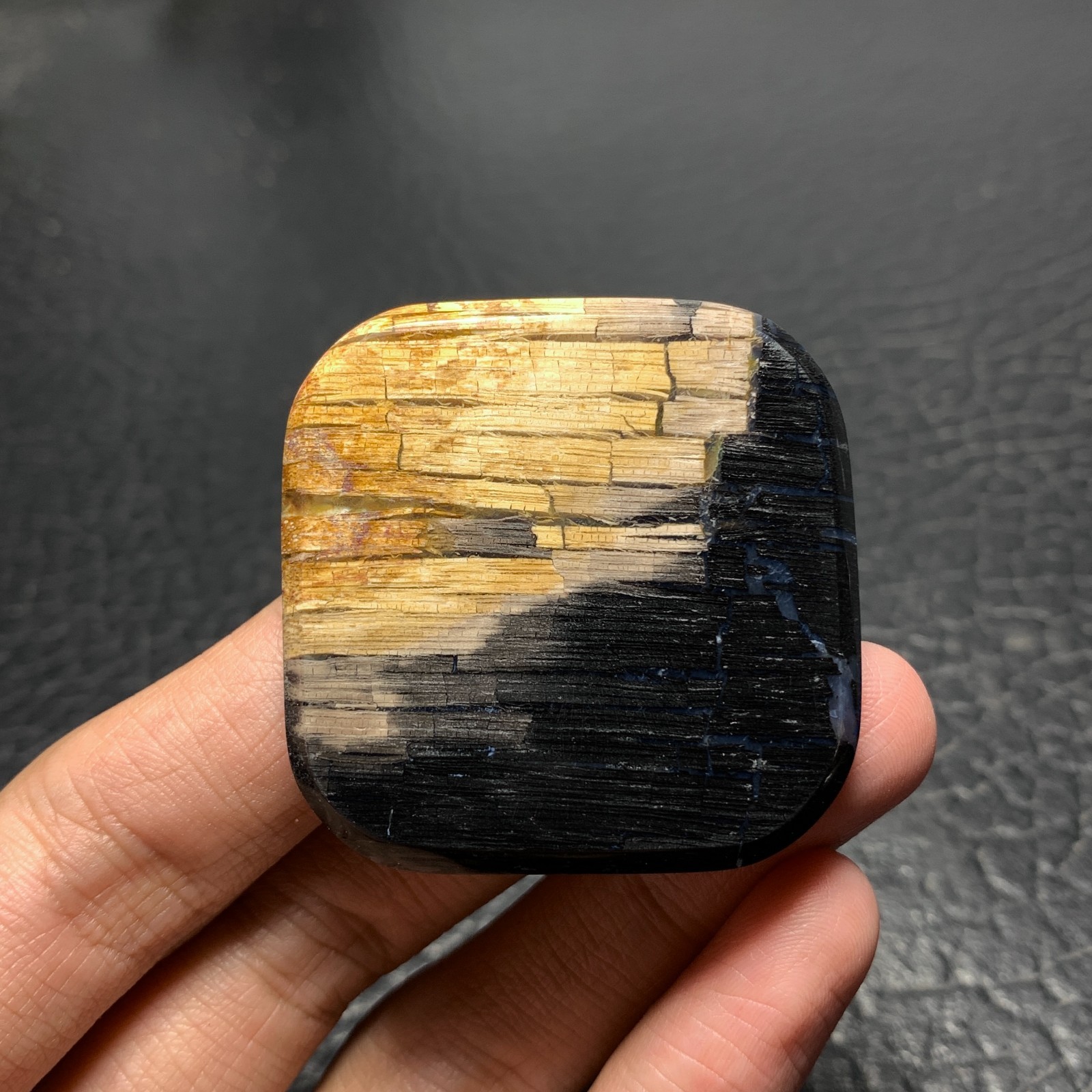 Petrified Wood Cabochon 41.5×41.5x6mm High Quality 105 ct