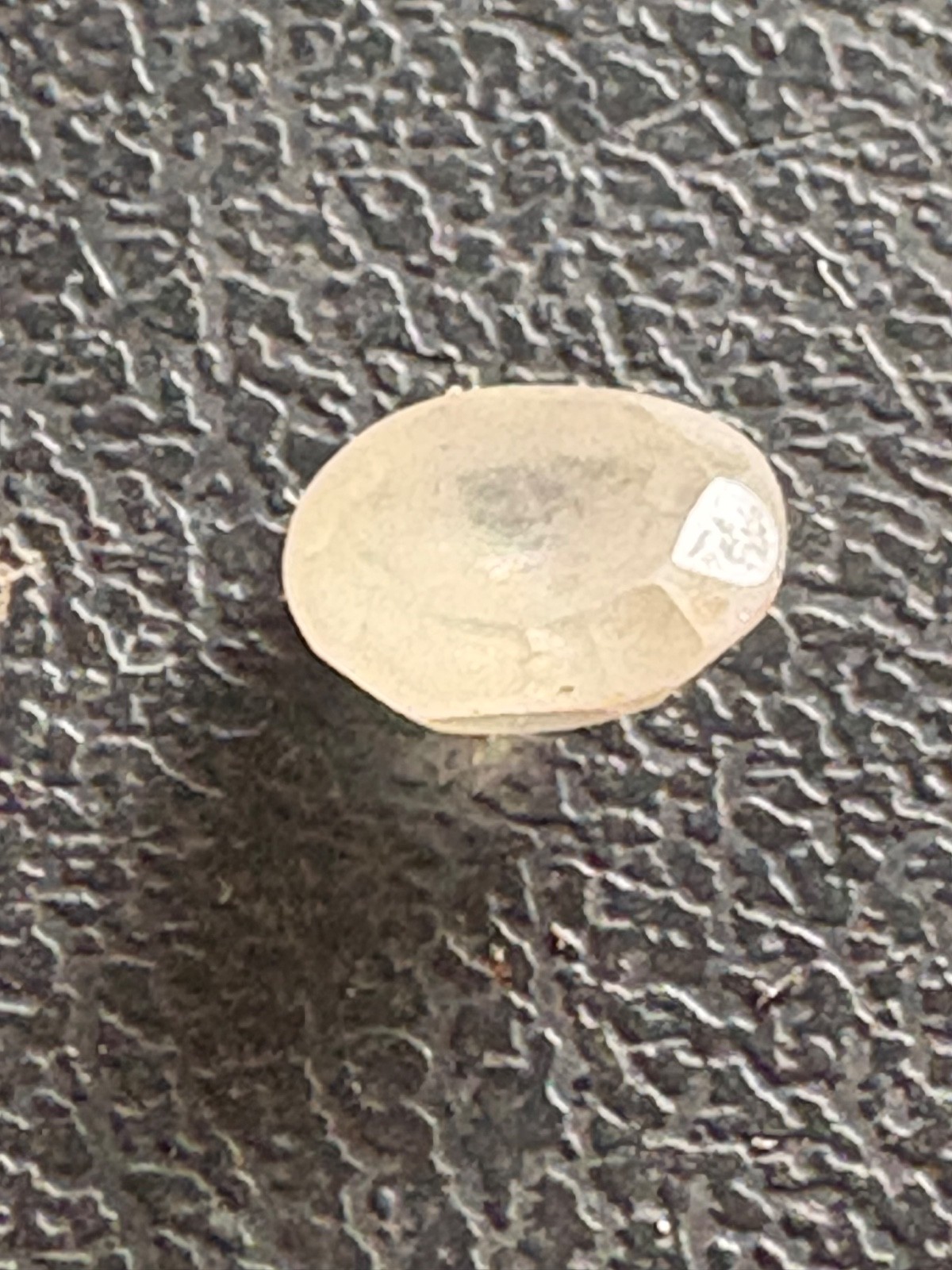 Lab grown Cushion Diamond over 5 Ct E Vs2 Igi Certified
