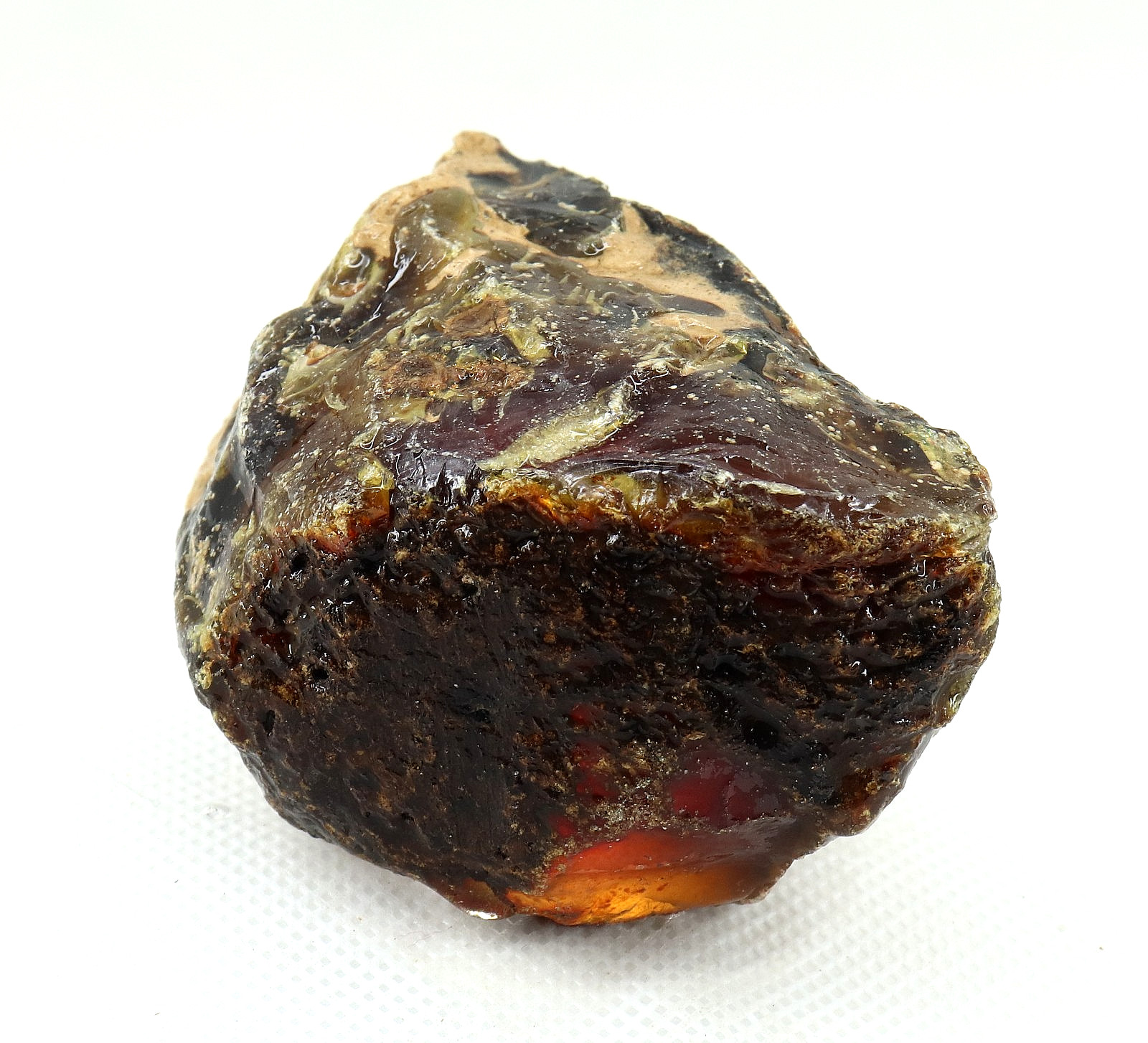 Natural Honey Baltic Amber Untreated Specimen Certified Rough Gemstone 233 Ct.