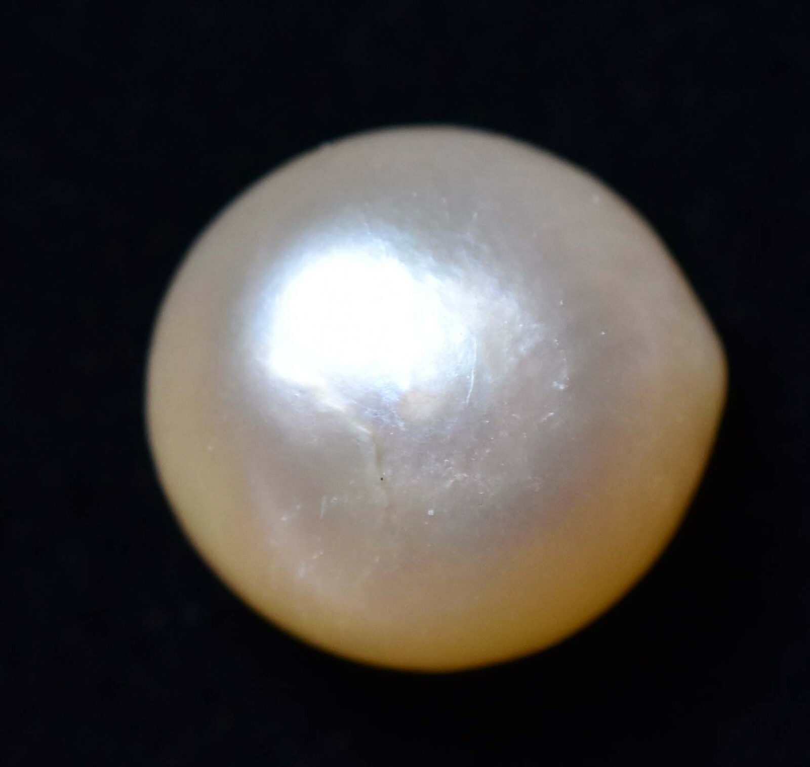 Natural Australian South Sea White Pearl 8.20 CT Certified Untreated Gemstone