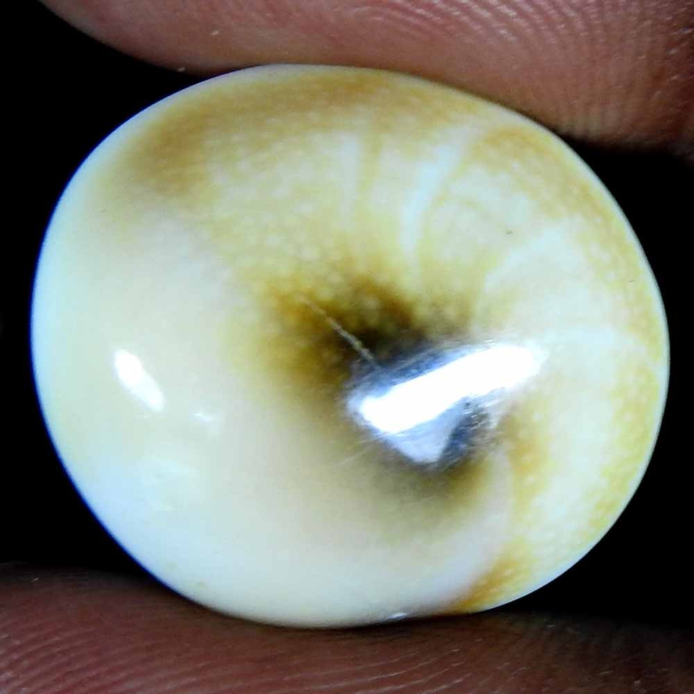 24.55Cts100%Natural Shiva Eye Jasper Oval Cabochon(22x20x8)Loose Gemstone