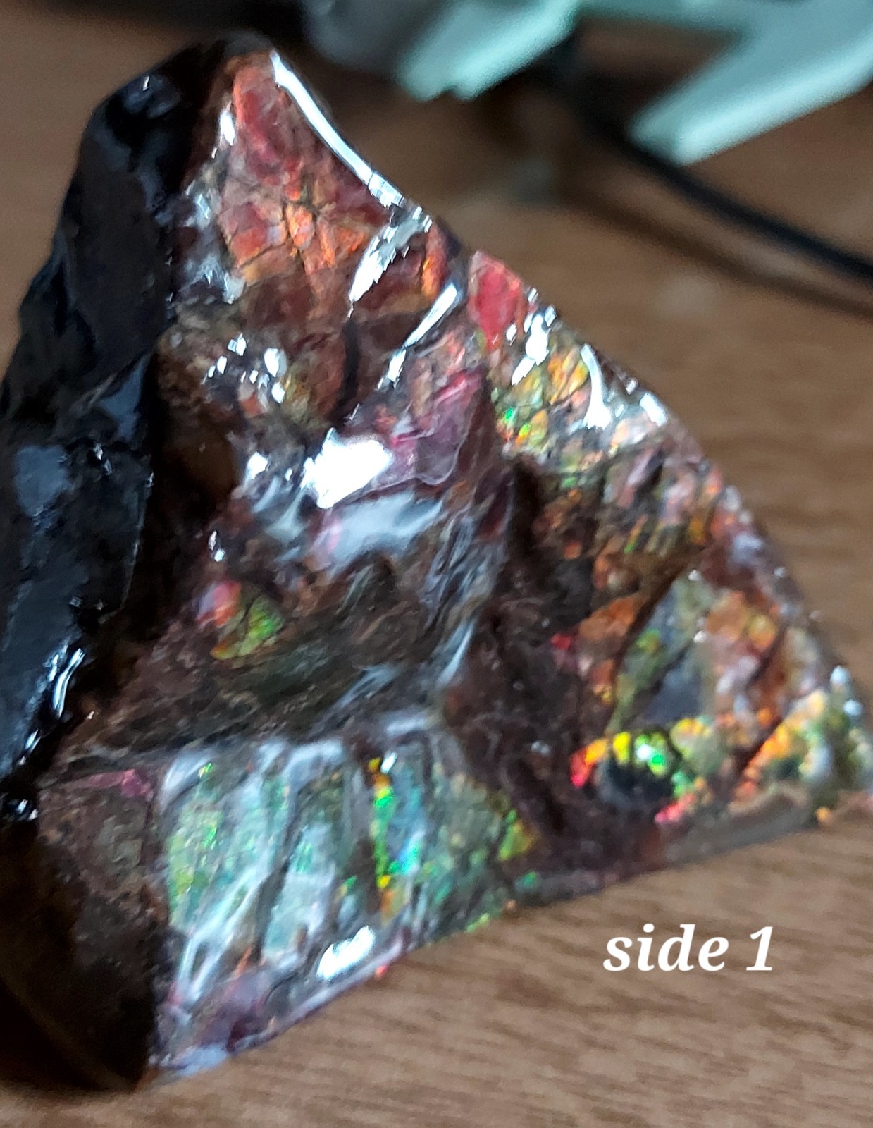 Ammolite Ammonite tabletop Display Piece Fossil Edge Piece 69x53x29.7mm 5179