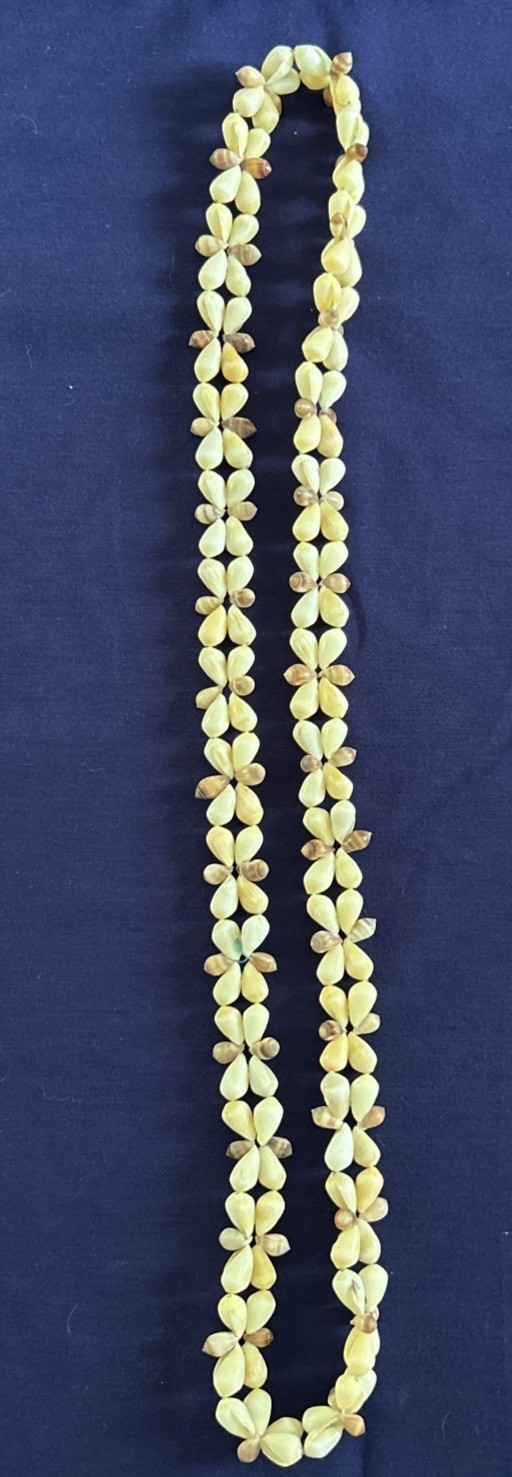 Vintage Cowrie Sea Shell NECKLACE Long Heavy 18” Hawaiian Lei