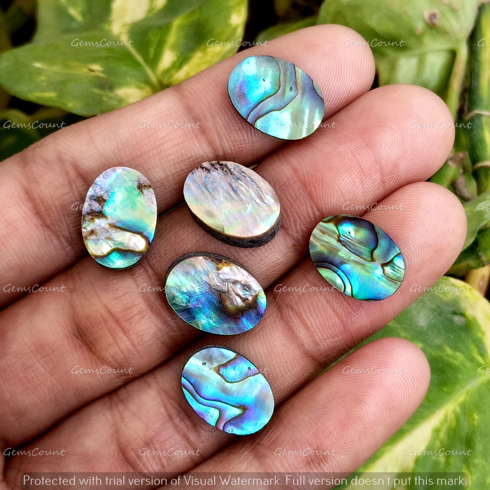 Natural Abalone Shell Flat Back Oval Cabochon Loose Gemstone 5x7mm-15x20mm