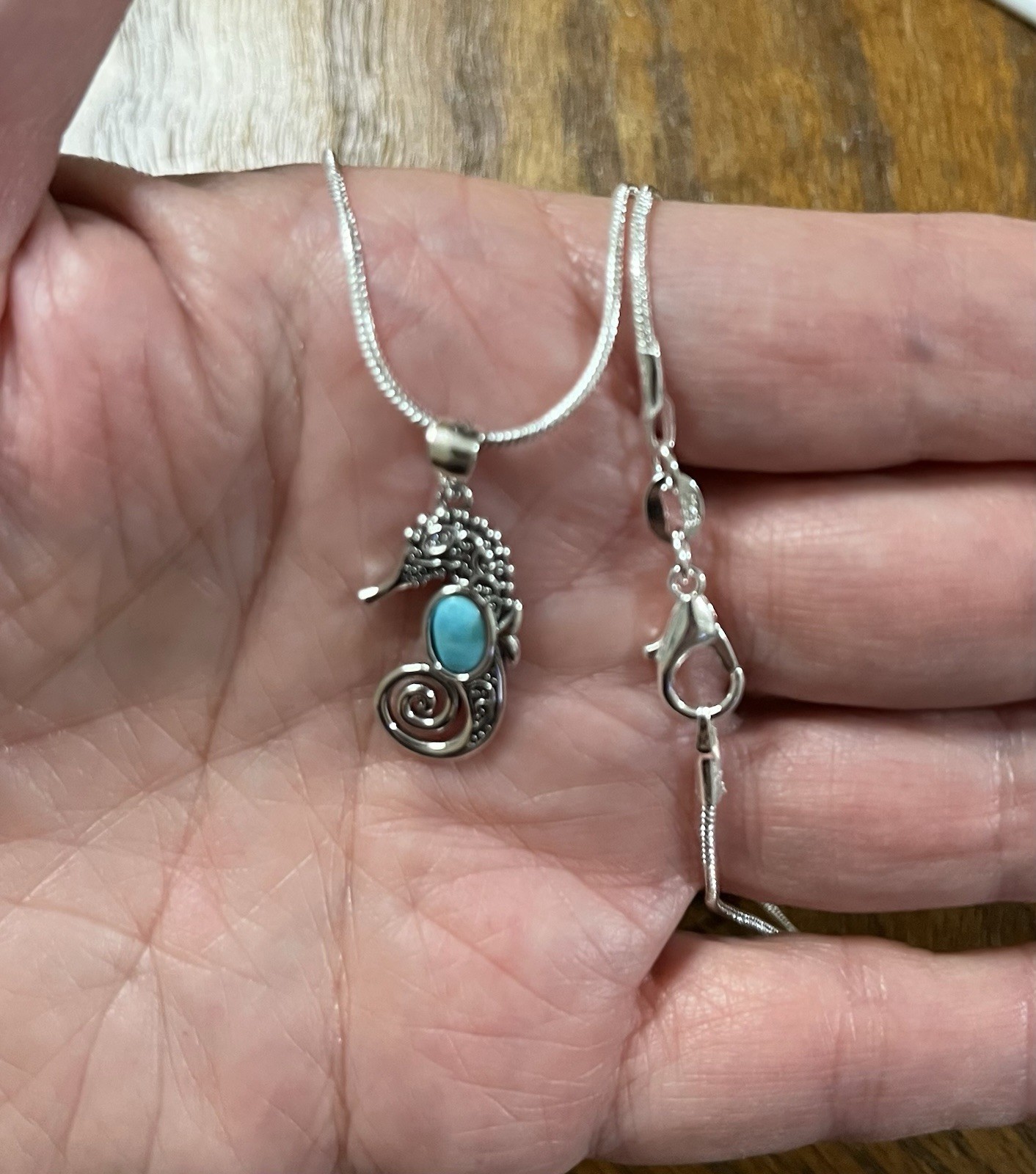 Sterling Silver Seahorse Genuine Turquoise Belly Pendant Snake SS Necklace 18”🩵