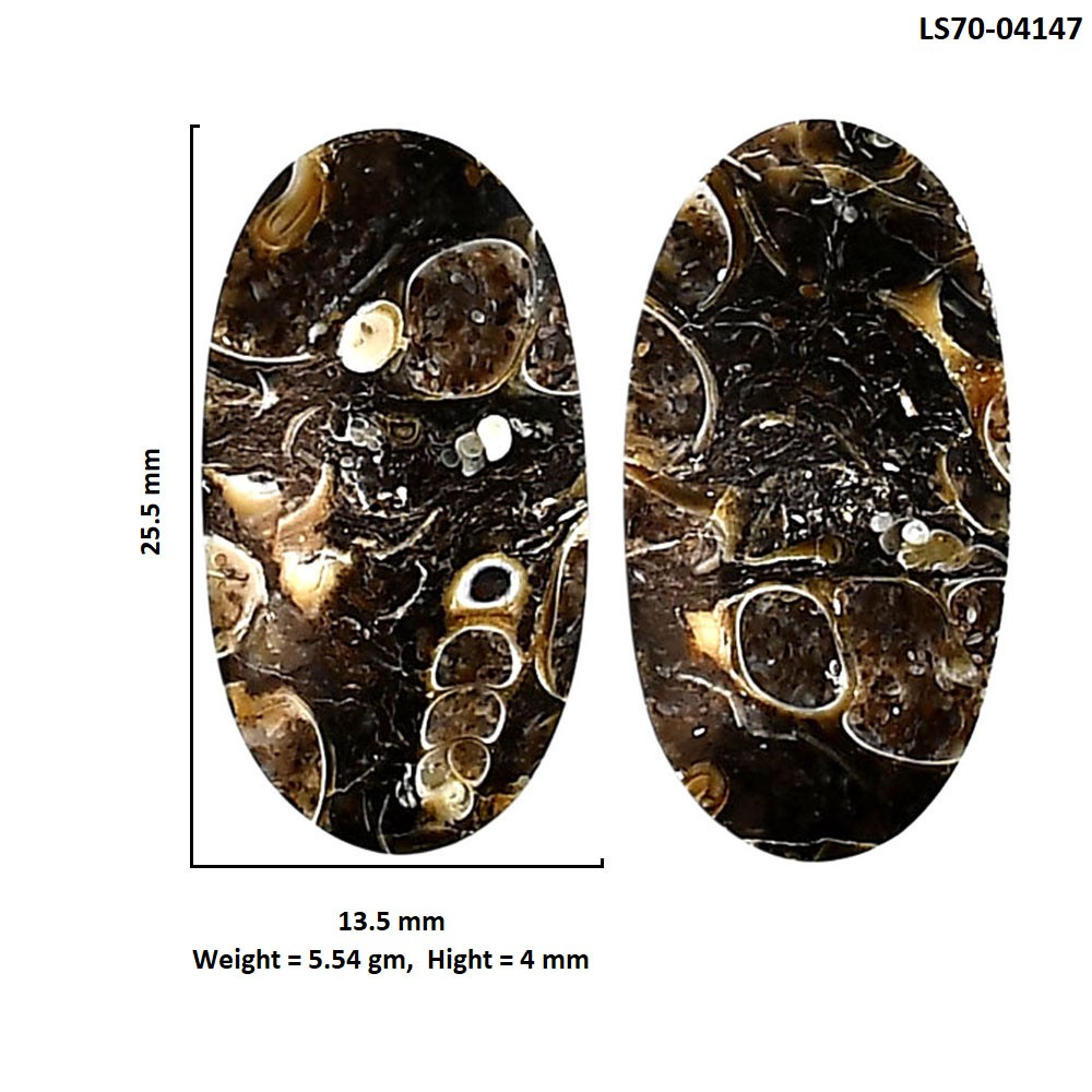 Natural Turtella Jasper Pair 13.5×25.5×4 mm Cushion Polished Gemstone LS70-04147