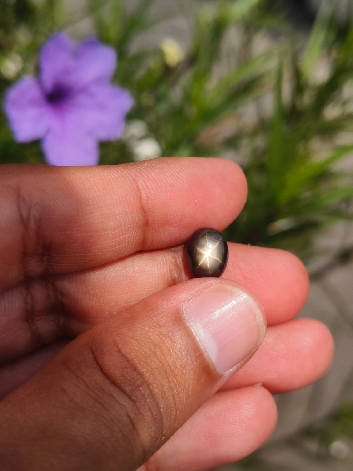 3.48 Cts A BEAUTIFUL NO HEAT BLACK STAR SAPPHIRE OF PERFECT 6 RAYS STAR ✨