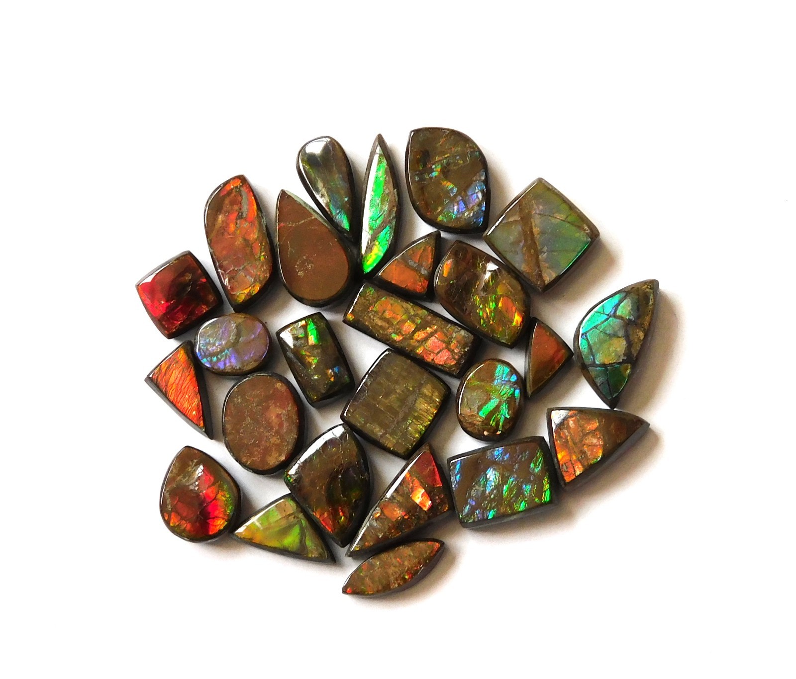 51.10 Cts Natural Ammolite 25 Pcs Lot Loose Cabochon Gemstone ZC17