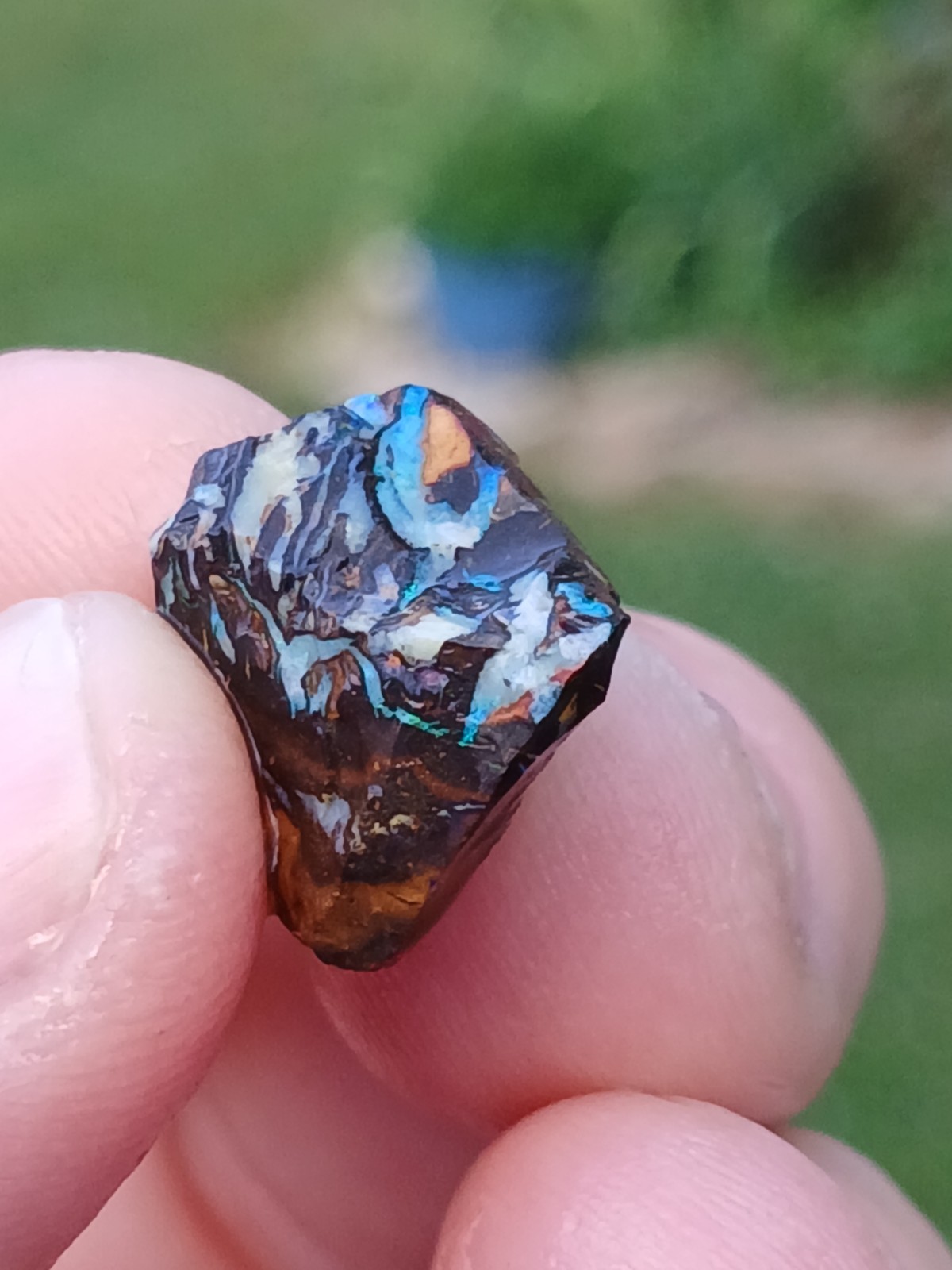 Australia Boulder Opal Koroit R313 Specimen 11 Carat Blue Green
