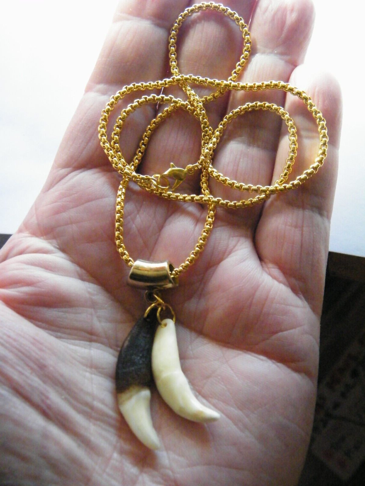 2 COYOTE Tooth Necklace 1 Brown 1 White 1 1/2″ Teeth 18kt GP Chain 22″ NEW!