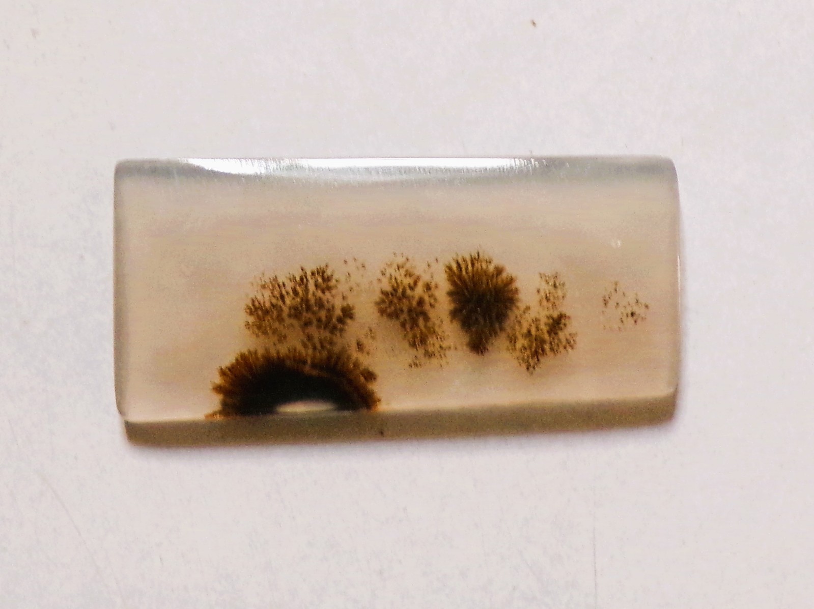 9.05 Cts Natural Shazar Dendritic Agate Cabochon Loose Gemstone 27X13X2.4MM 39