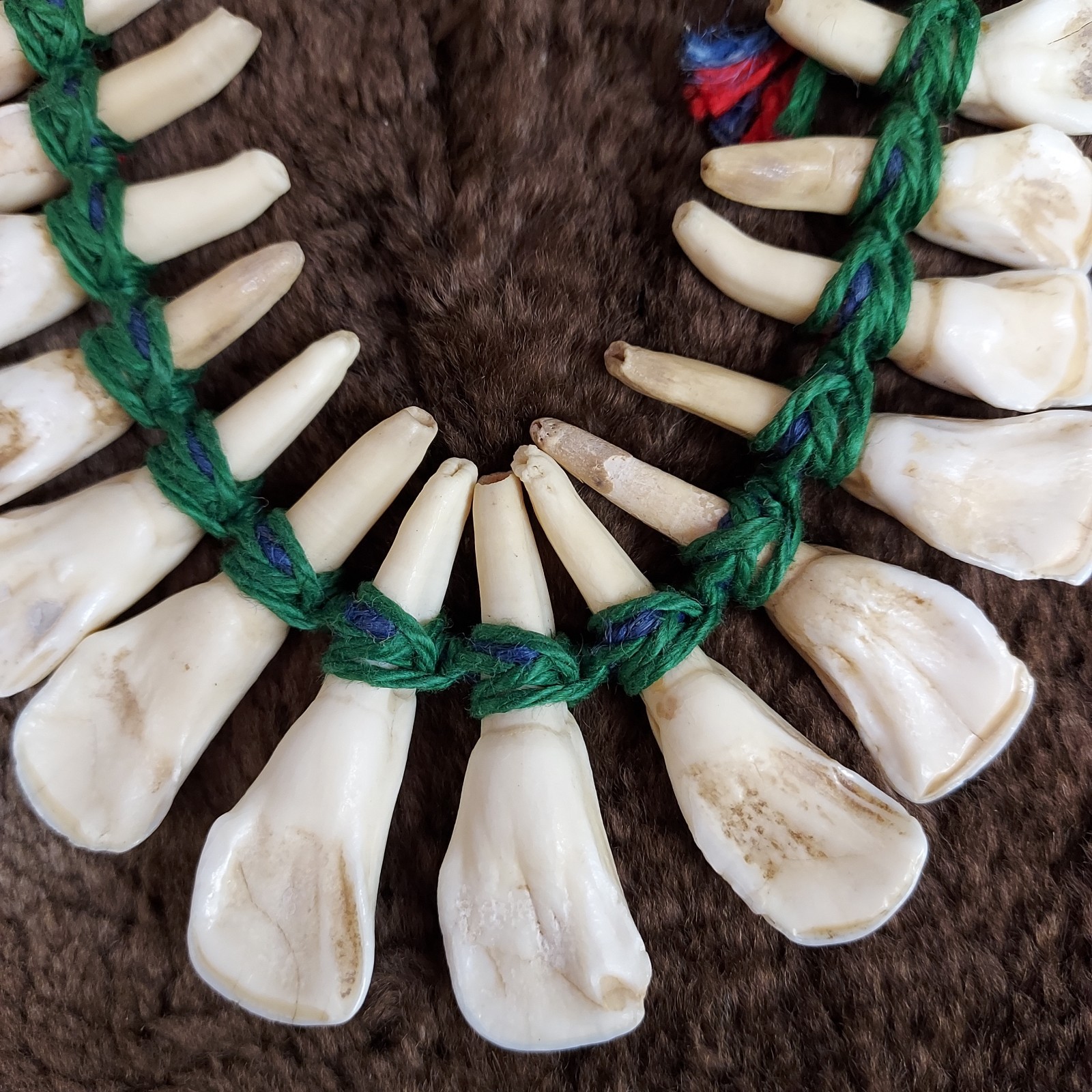 REAL Natural Vintage Tribal Ethnic Necklace Tooth / Unknown Animal TEETH