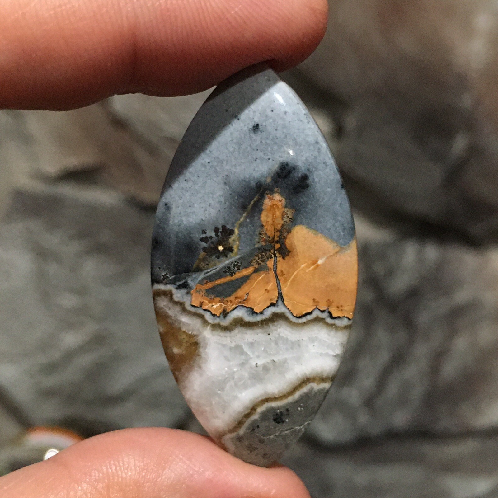 48×23.5×6.9mm Scenic Maligano Jasper Oval Cabochon Collectors Picture Stone
