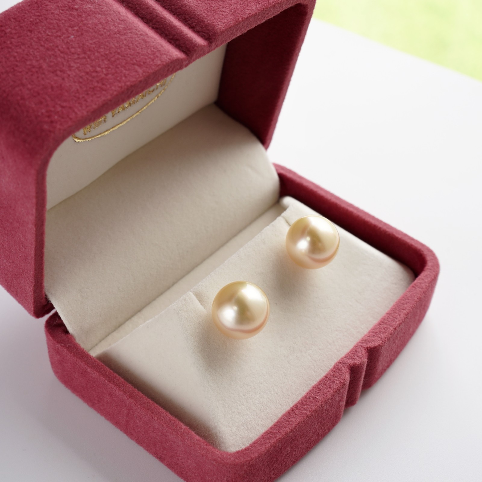 Big 11.6mm Round Light Gold South Sea Pearl Stud Earrings 10K Yellow Gold