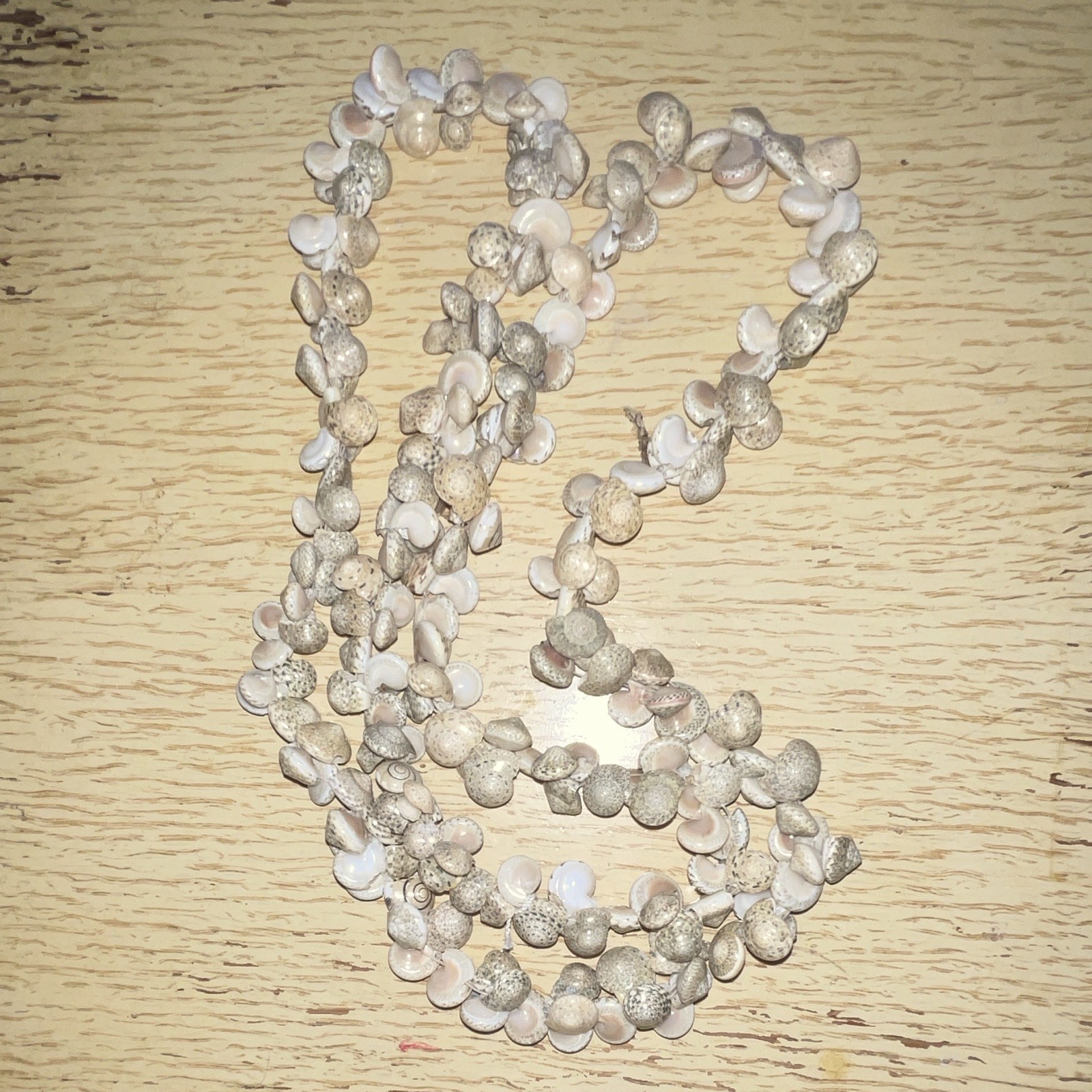 White Beige Natural Shell Beaded Strand Necklace No Clasp Beach/Ocean