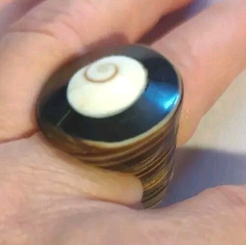 Unique Chunky Black White Brown Spiral Seashell Ring Size 6-61/2