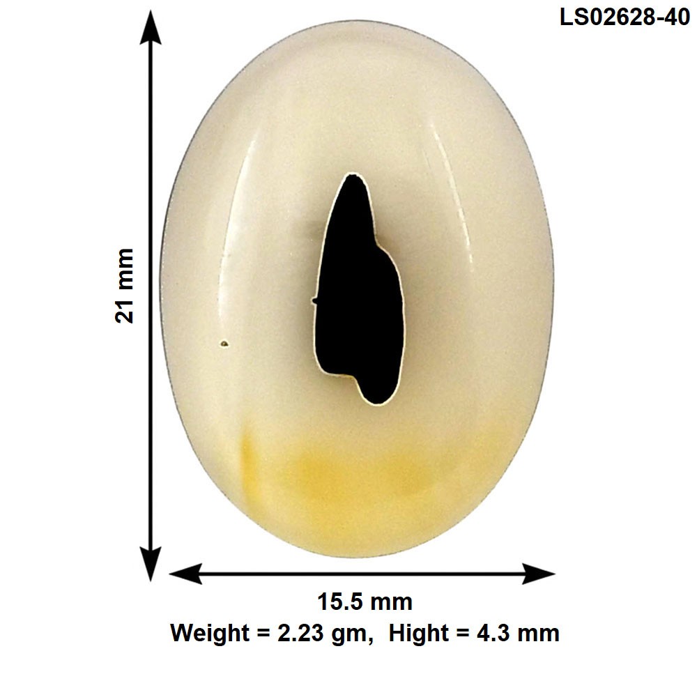 Natural Montana Agate 21×15.5×4.3 mm Oval Shape Polished Gemstone LS02628-40