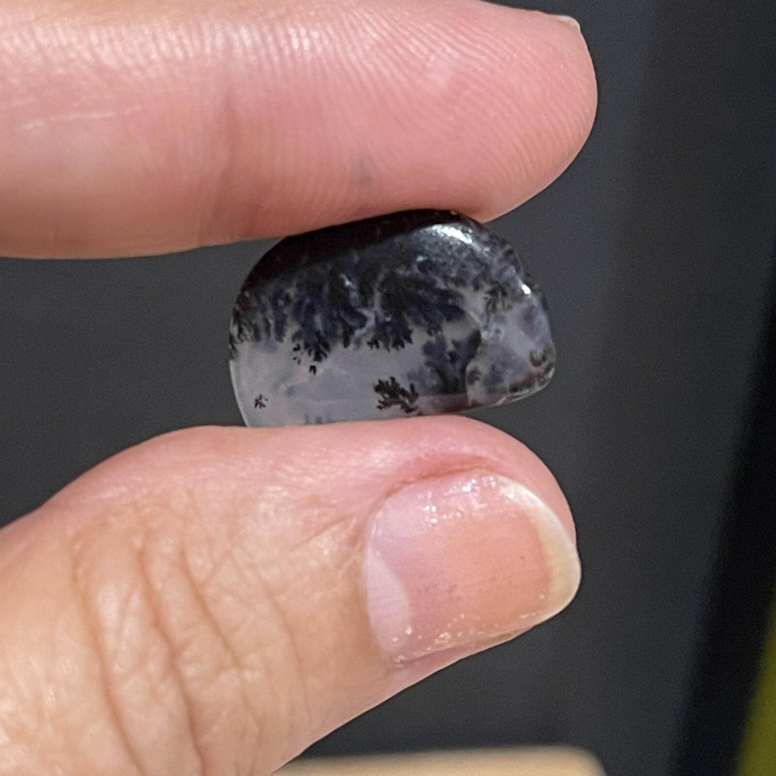 7ct 19.3x13x4mm Fine Dendritic Agate Smooth Cabochon Loose Picture Stone