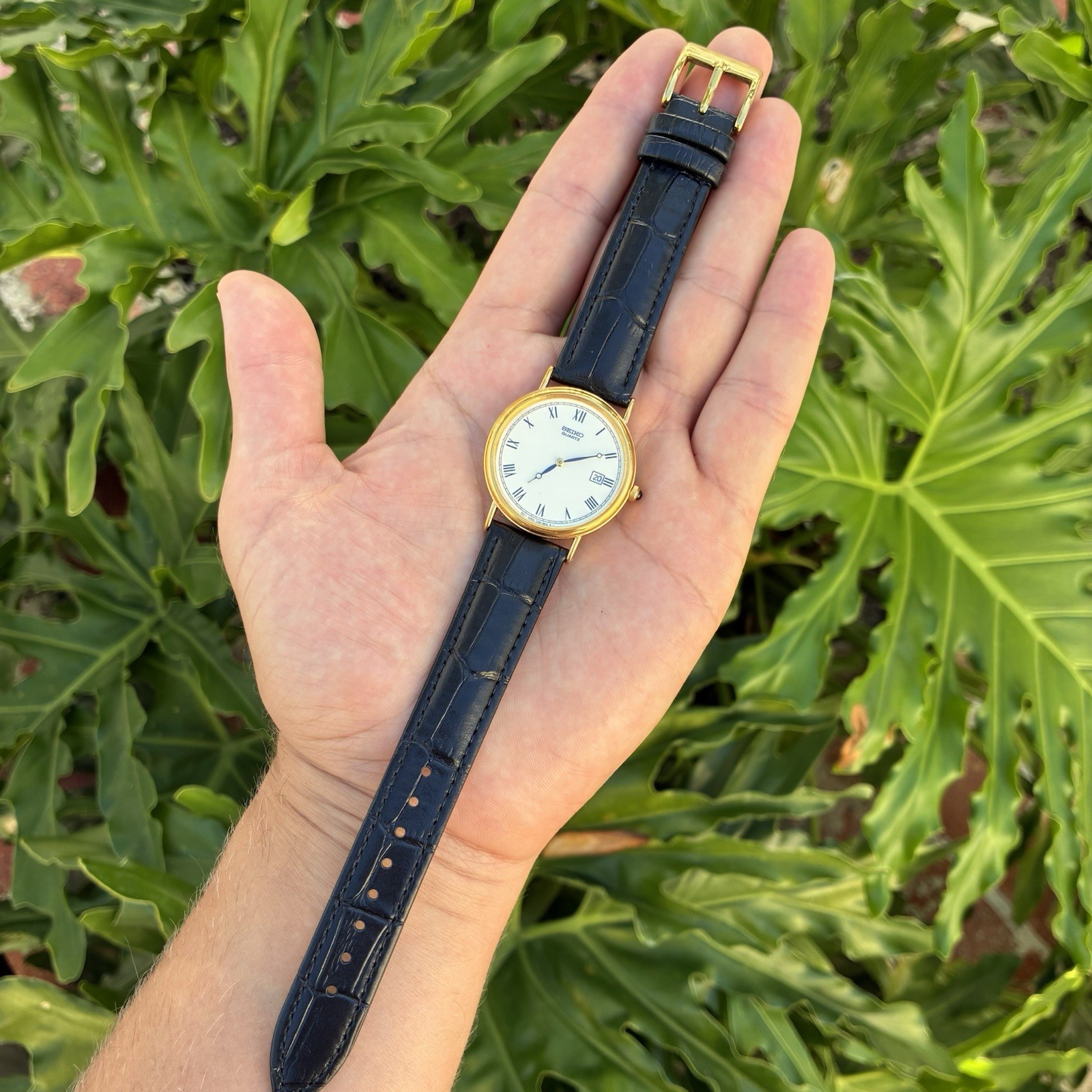 BEAUTIFUL Seiko Men’s Classic Dress Watch