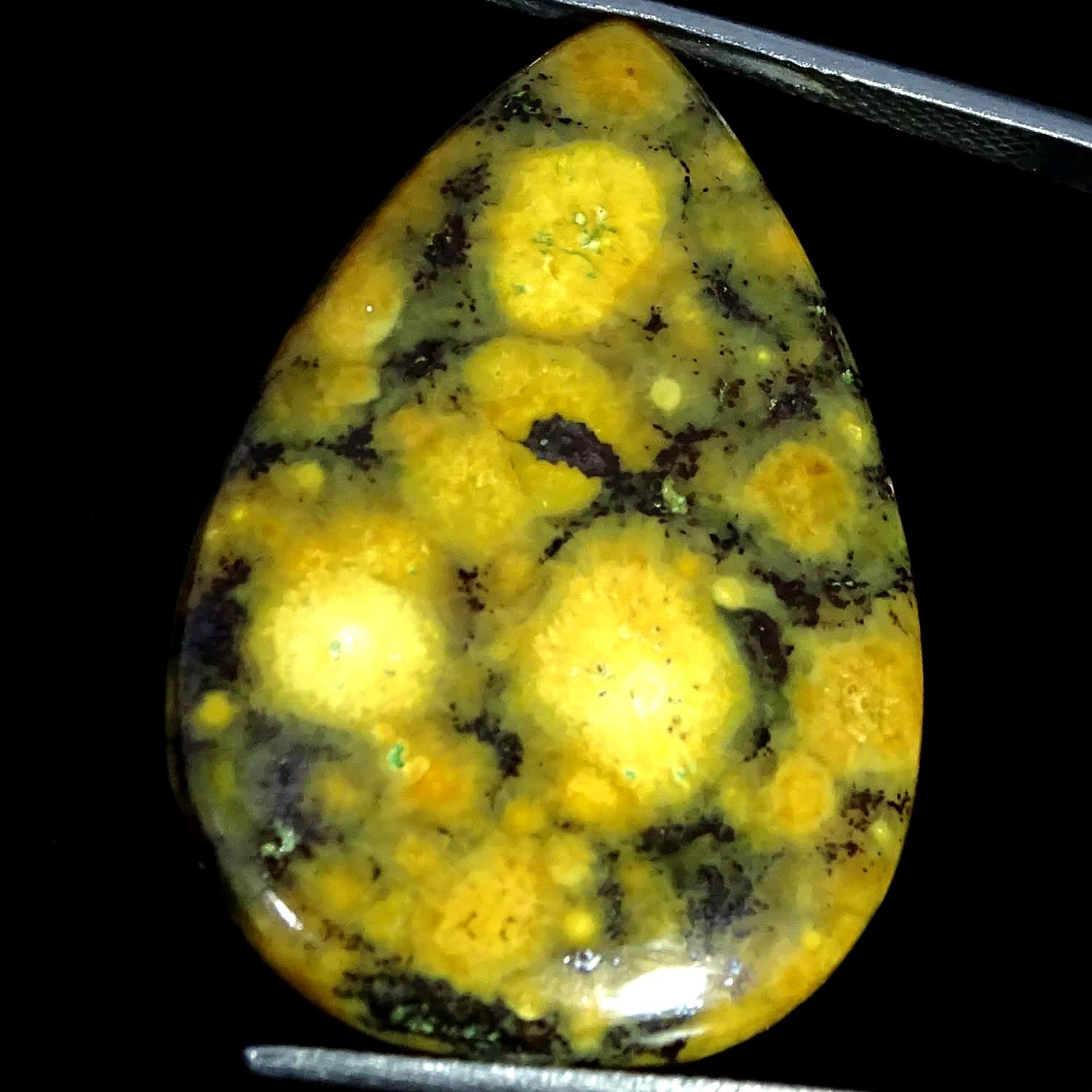 30.80Cts 100% Natural Ocean Jasper Pear Cabochon Gemstone 23X34X4MM