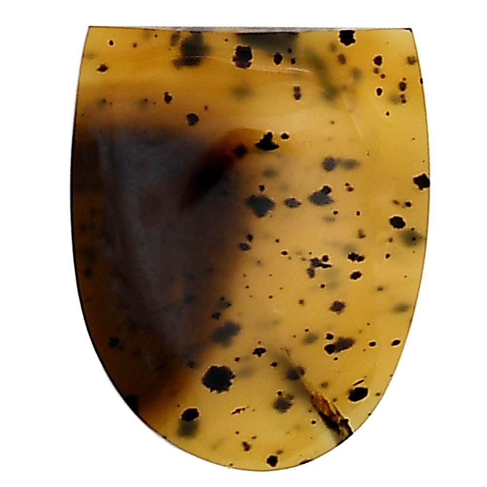 Natural Montana Agate 21.5×17.4×4.3 mm Fancy Shape Polished Gemstone LS03924-40
