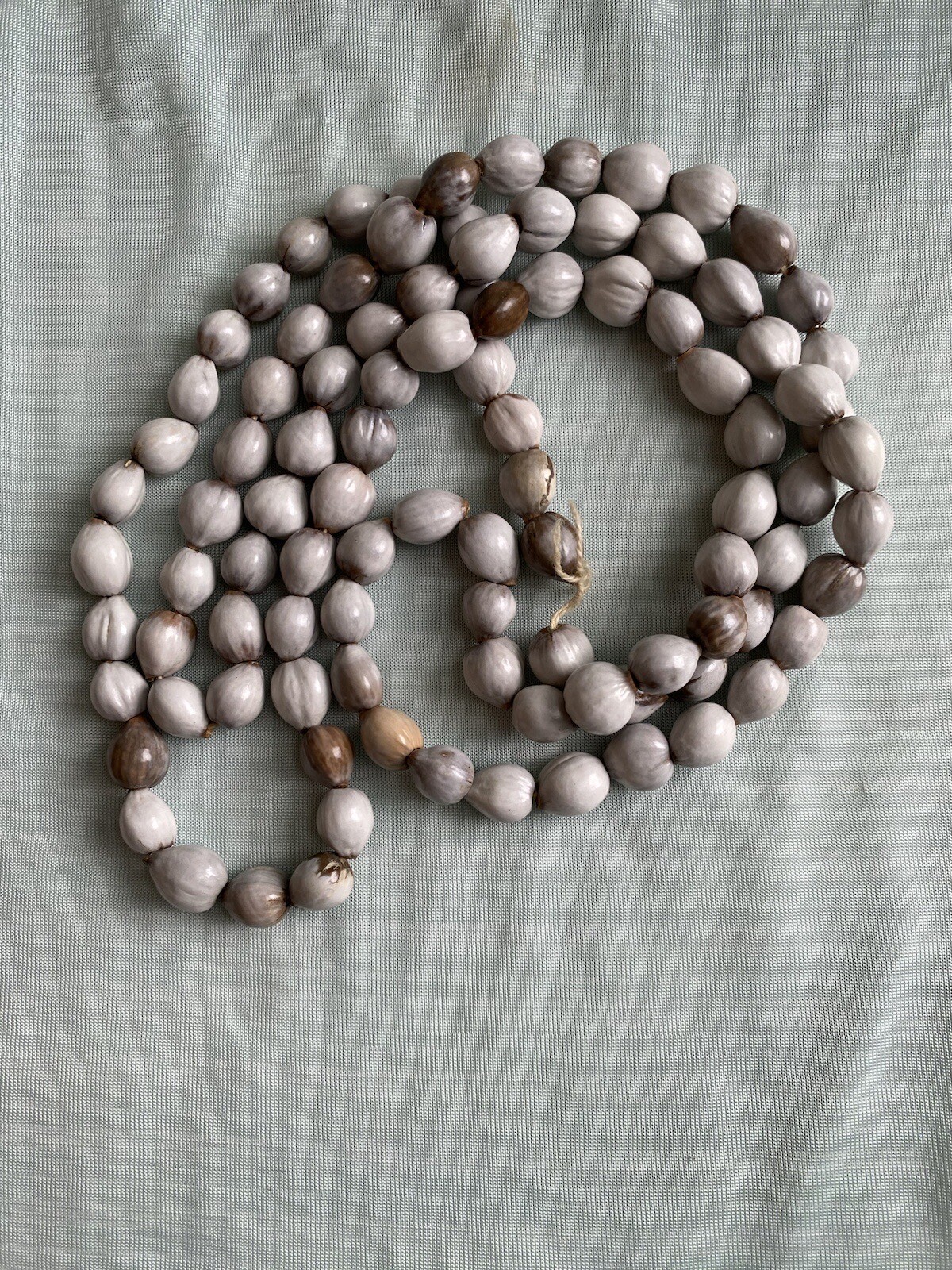 Vintage African Zulu/Imfibinga/Job’s Tears Seeds Strand 37”