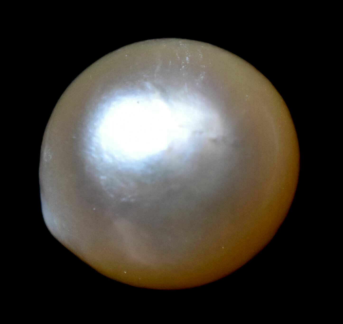 Natural Australian South Sea White Pearl 8.20 CT Certified Untreated Gemstone