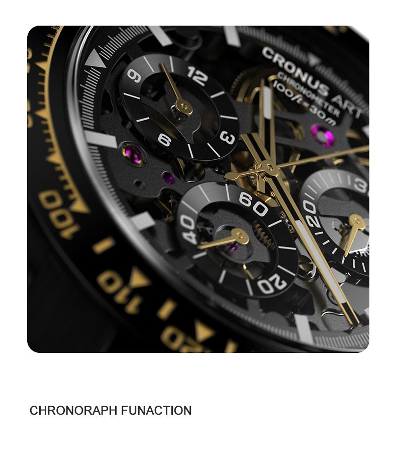 CRONUSART Men Chronograph Watch 42mm Automatic Mechanical Wristwatch Skeleton