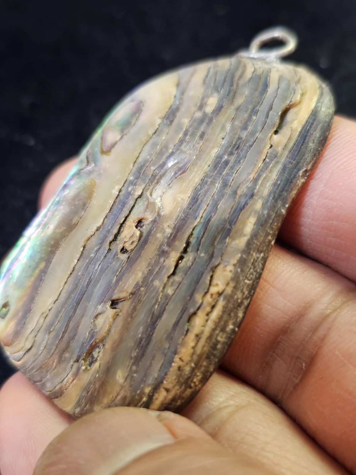 Vtg Large Abalone Shell Pendant Flat 2.25in- B23