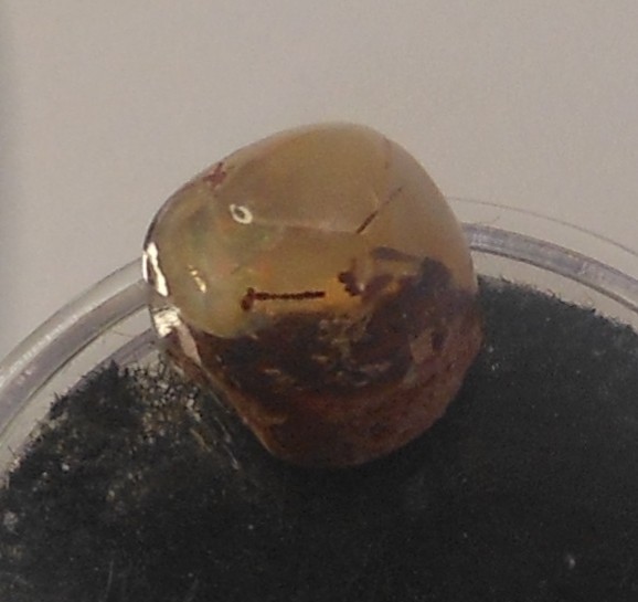 4.90ct Mexican Fire Opal