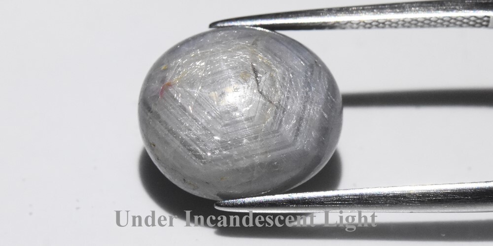 💎 14.60ct Oval Cabochon Grey 6 Ray Star Sapphire – Unheated, Myanmar Gem
