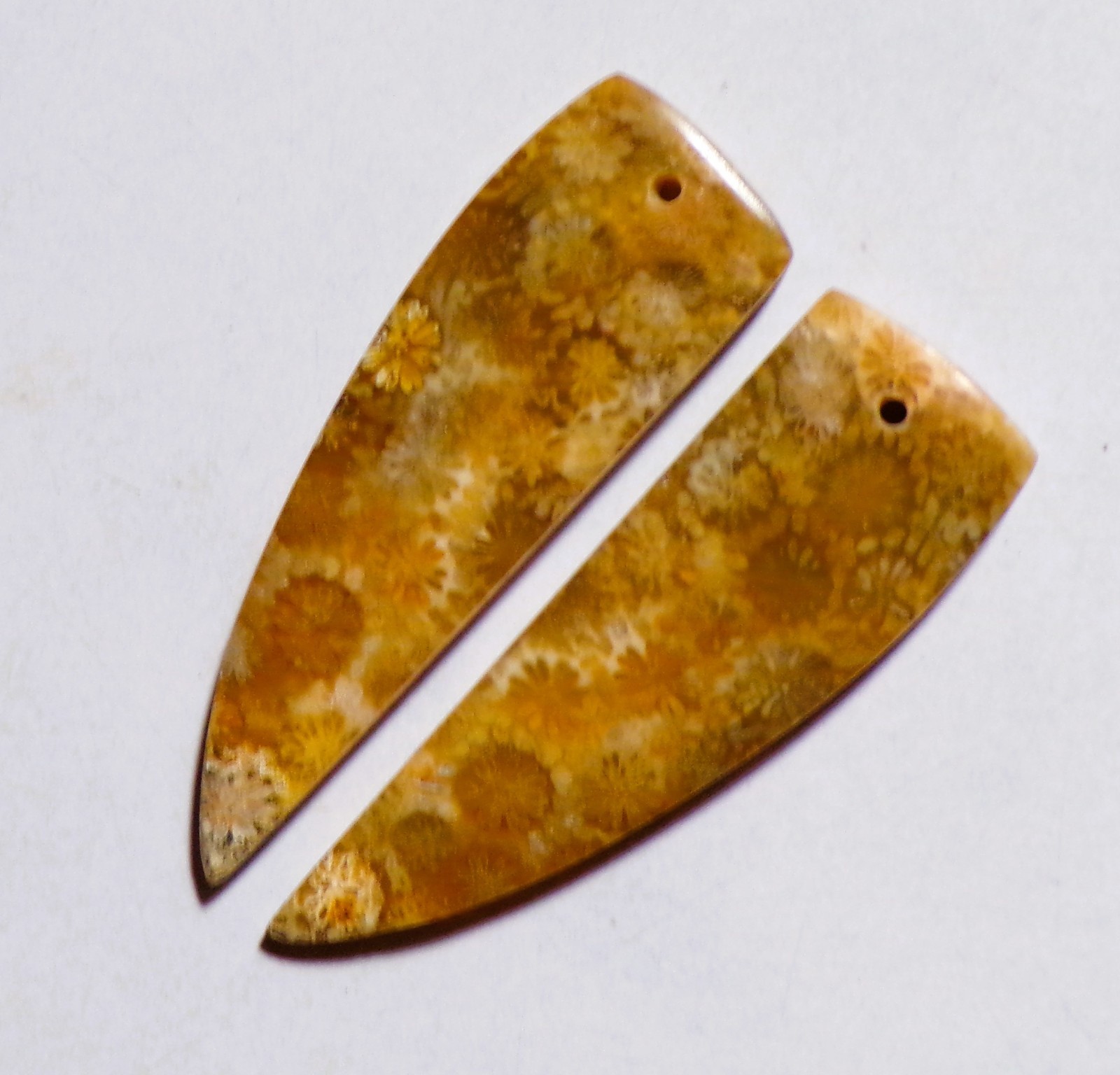 36.70 Cts Natural Fossil Coral Drilled Cabochon Match Pair Gemstone 43X13.4MM