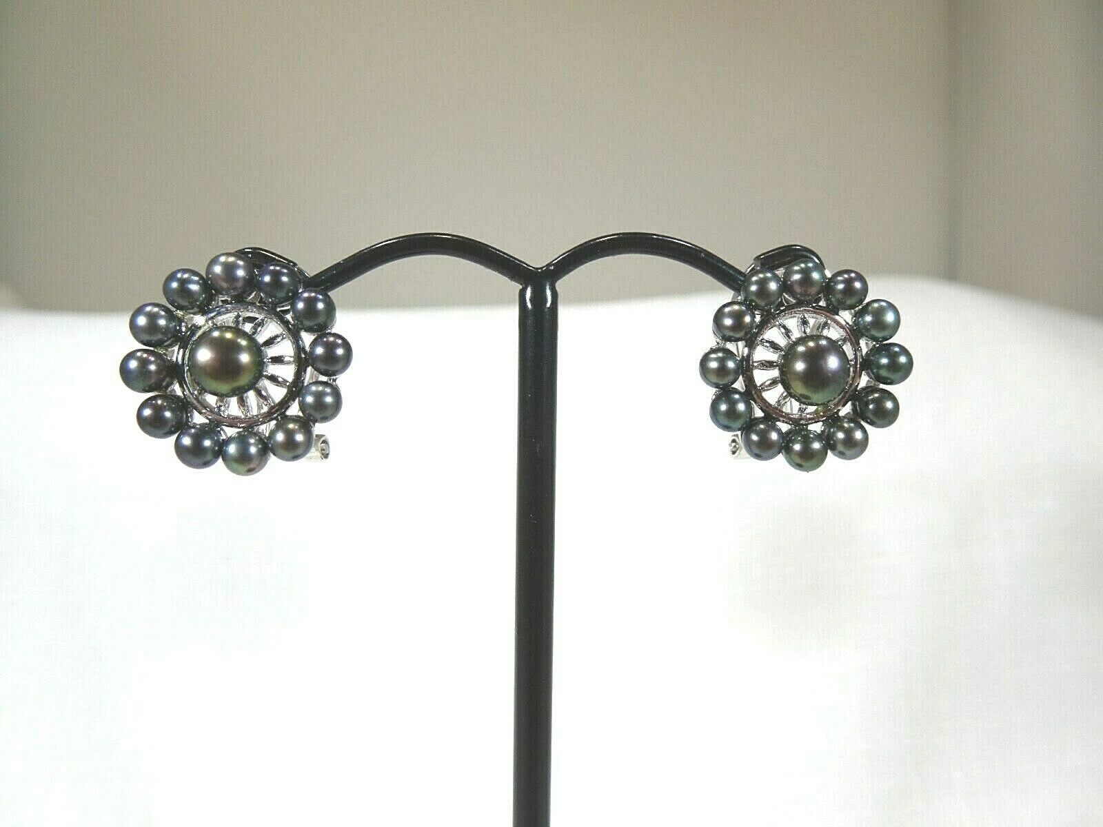 Cultured Freshwater Black Pearl Solid Sterling Silver Omega Back Earrings