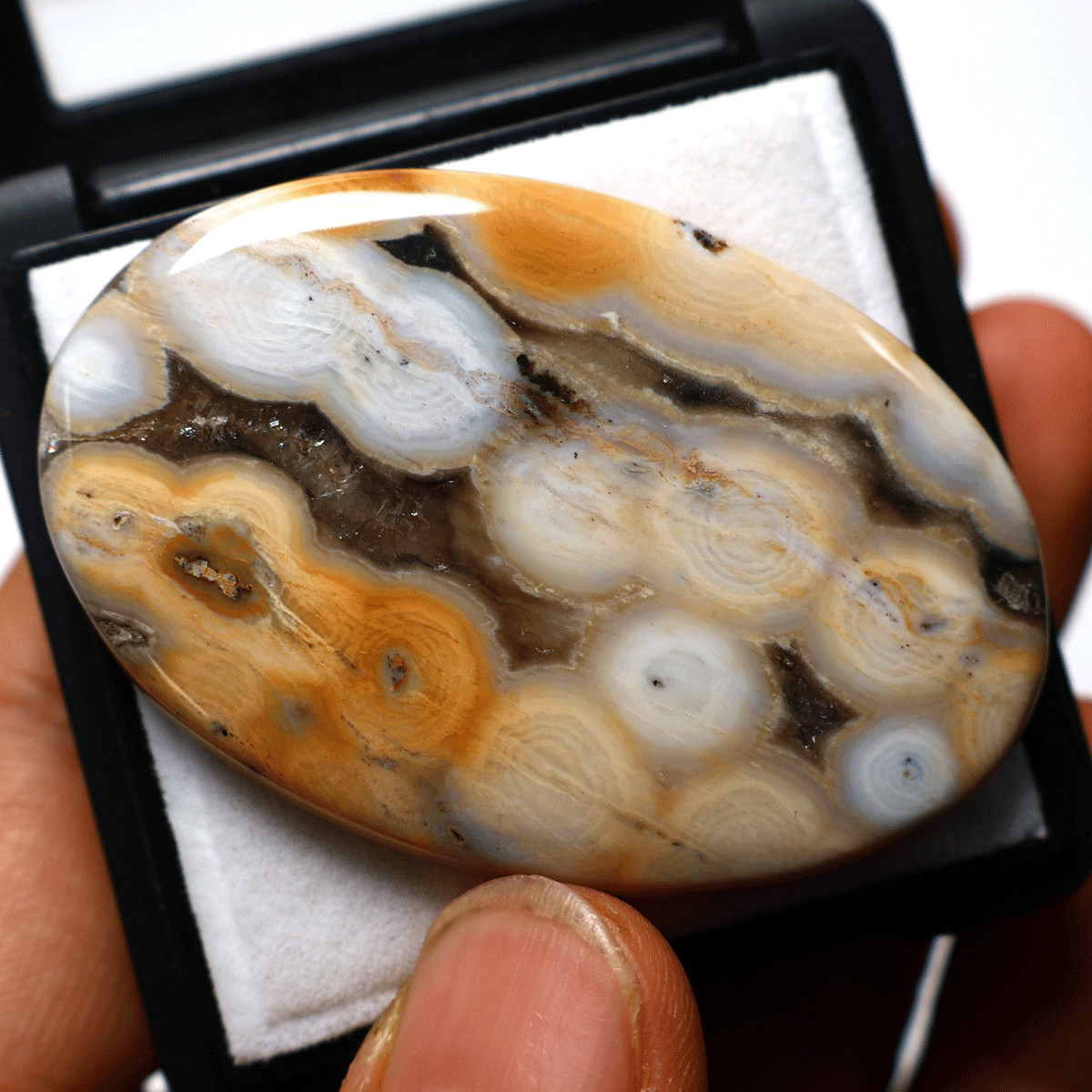 100 Cts Natural 8th Vein Ocean Jasper Hi-Grade 56mmx37mm Oval Cabochon Gemstone