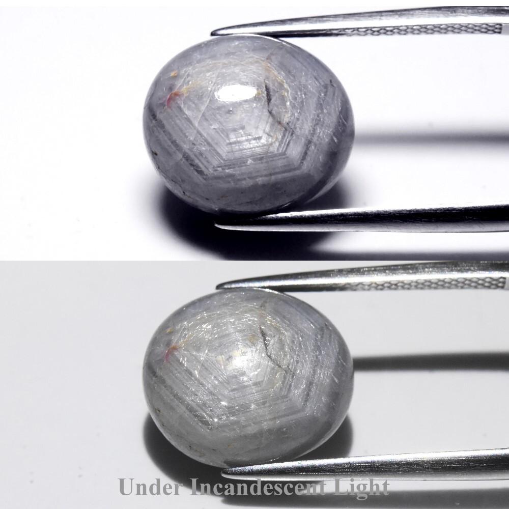 💎 14.60ct Oval Cabochon Grey 6 Ray Star Sapphire – Unheated, Myanmar Gem