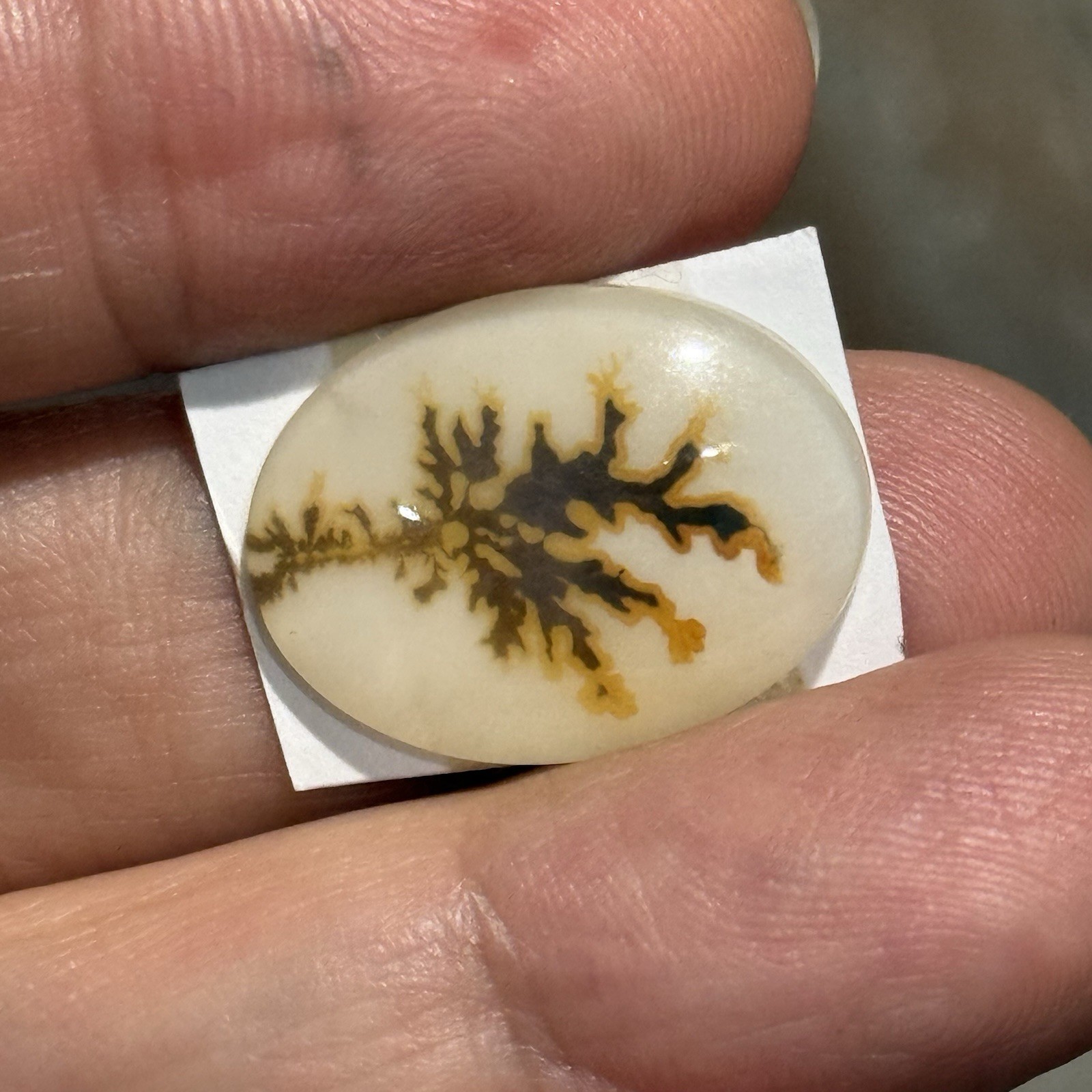 10.7ct 21×15.7×4.2mm Dendritic Agate Crystal Doublet Oval Cabochon Picture Stone