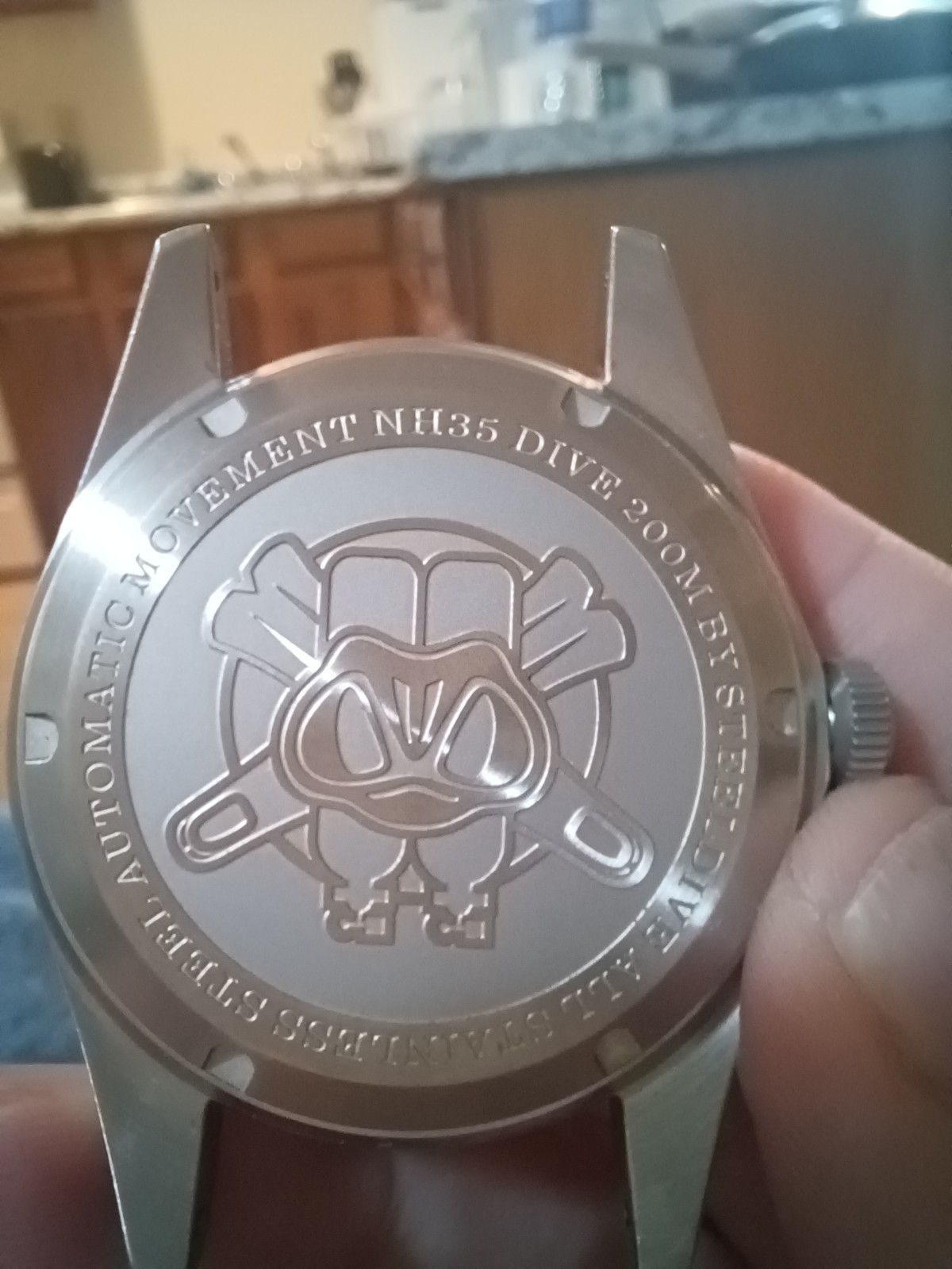 Steeldive dive watch