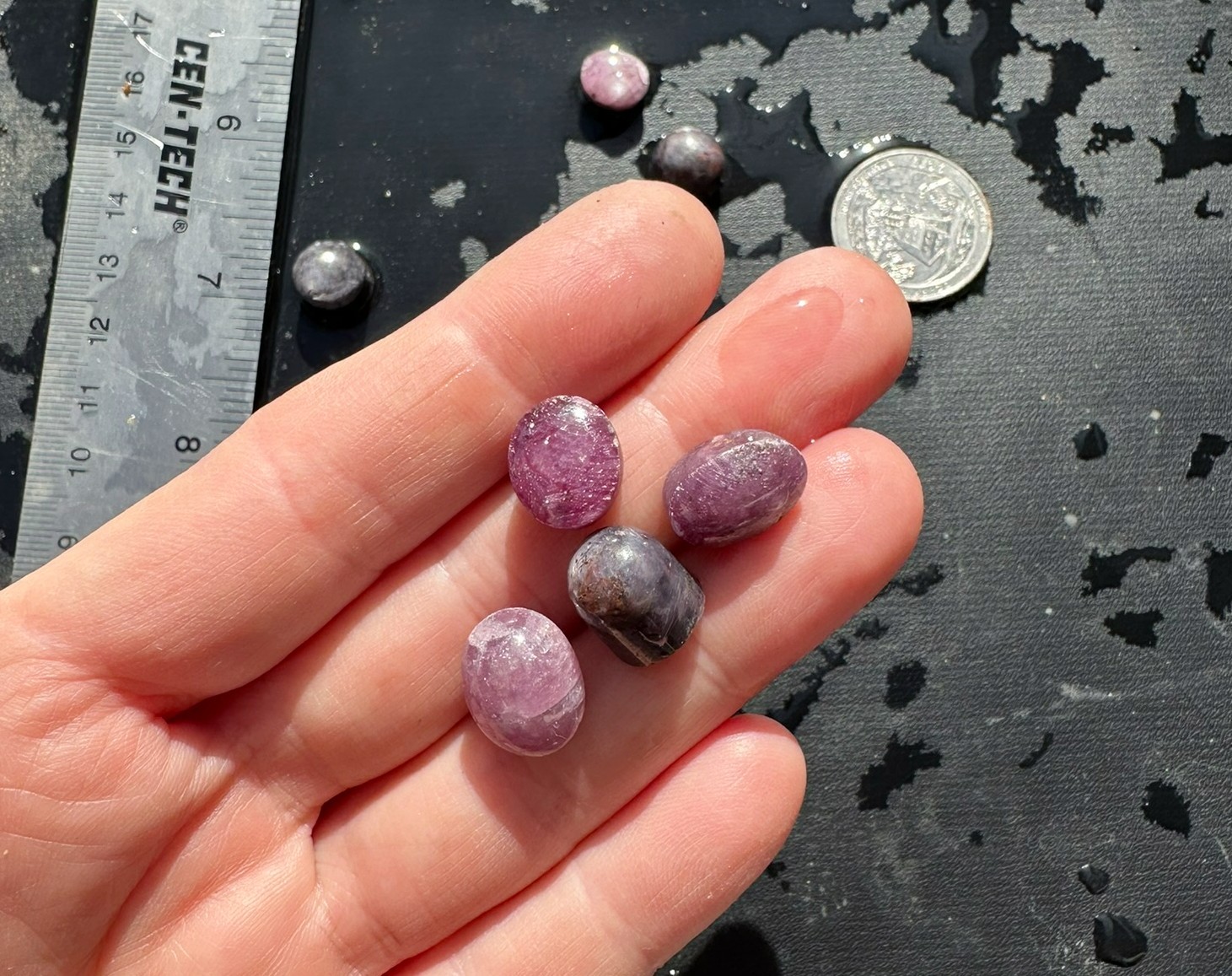 Lot of 8 Natural Star Ruby Star Sapphire Cabochons Rough Gems 95ct