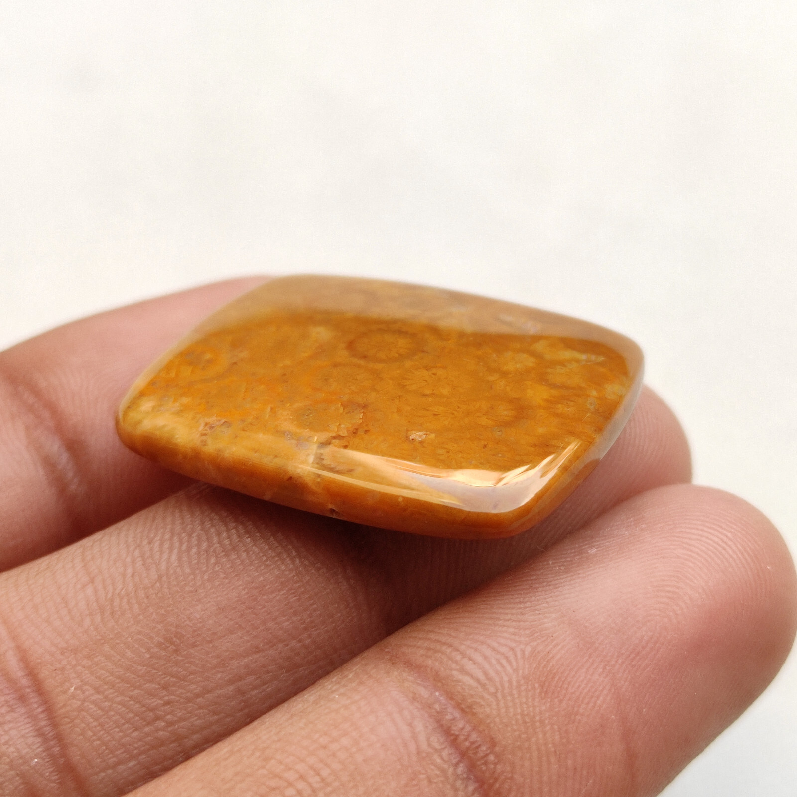 Brown fossil coral flatback cabochon loose fossilized coral handmade stone C5782