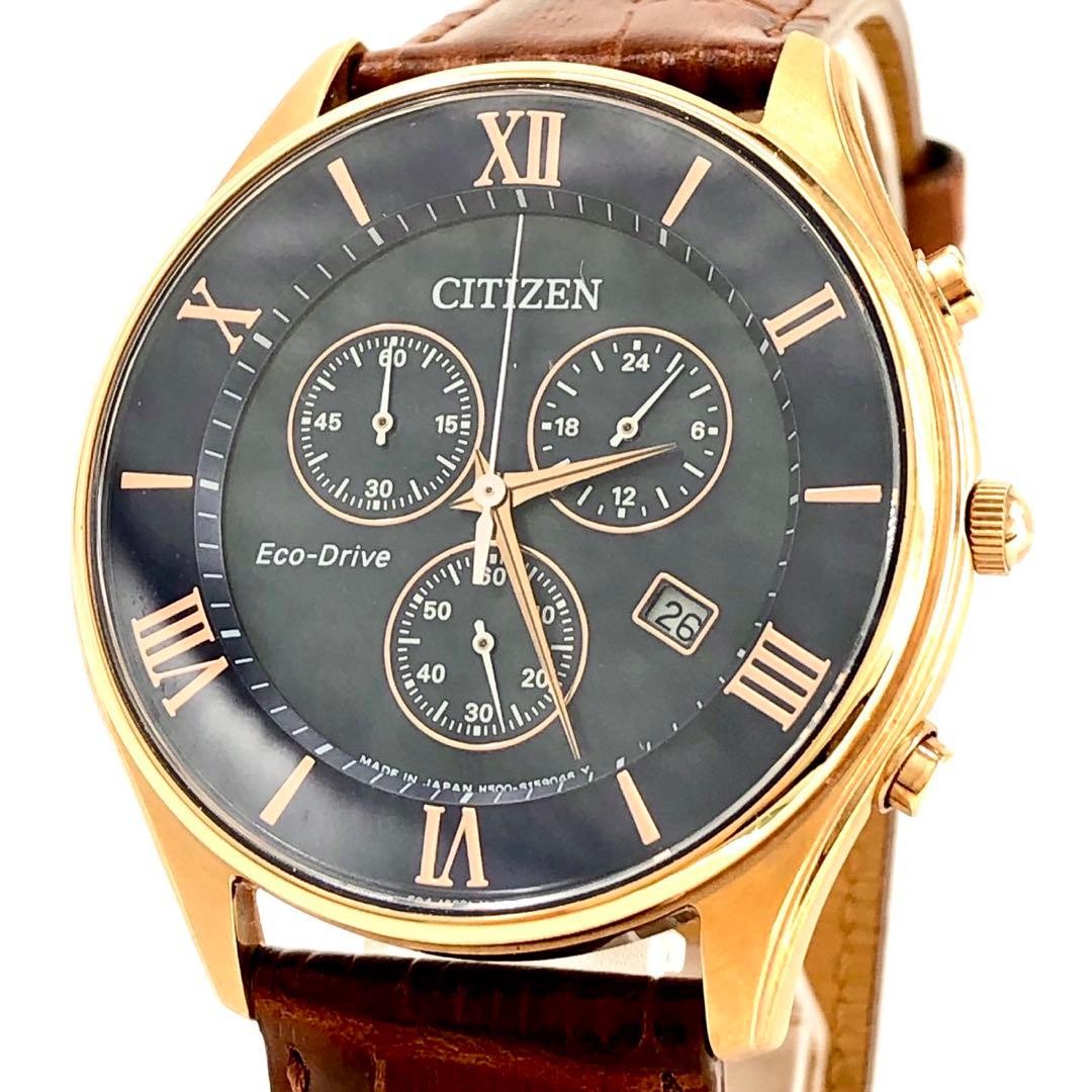 Citizen Eco-Drive H500-S107318 Solar Radio Brown Roman Numeral Watch 075520