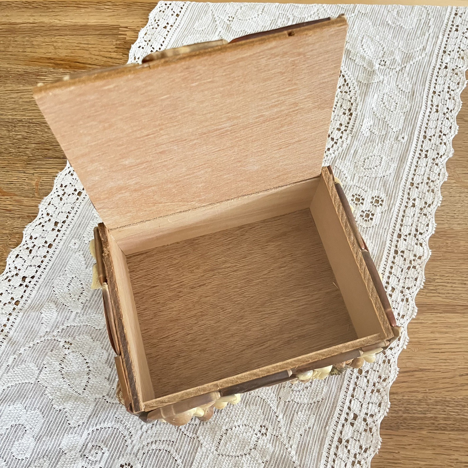 Vintage Seashell Jewelry Box Keepsake Trinket Shell Coastal Nautical