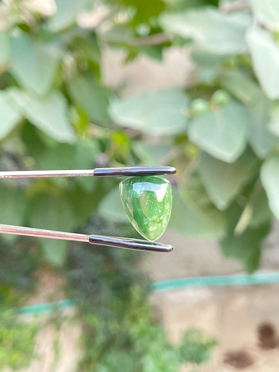 12.30ct NATURAL GREEN TOURMALINE ROSE CUT PEAR CABOCHON GEMSTONE LOOSE AFGHANI